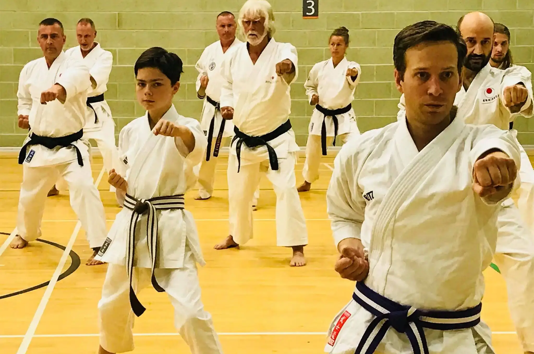 International Shotokan Karate