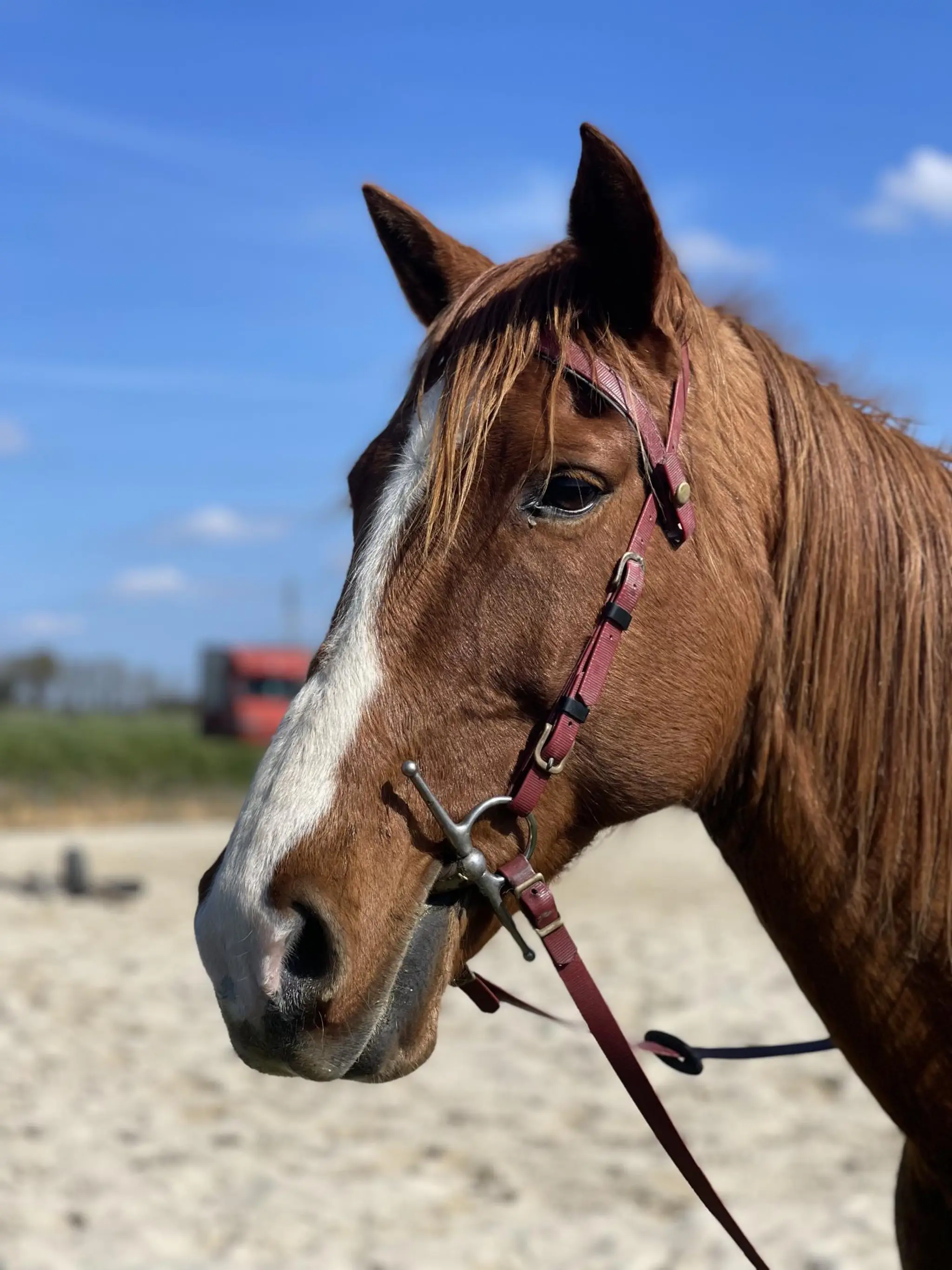 Espace Equestre Du Val Khyri