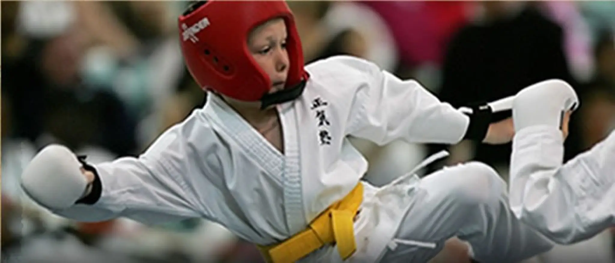 United Kingdom Seiki-Juku Karate Organisation