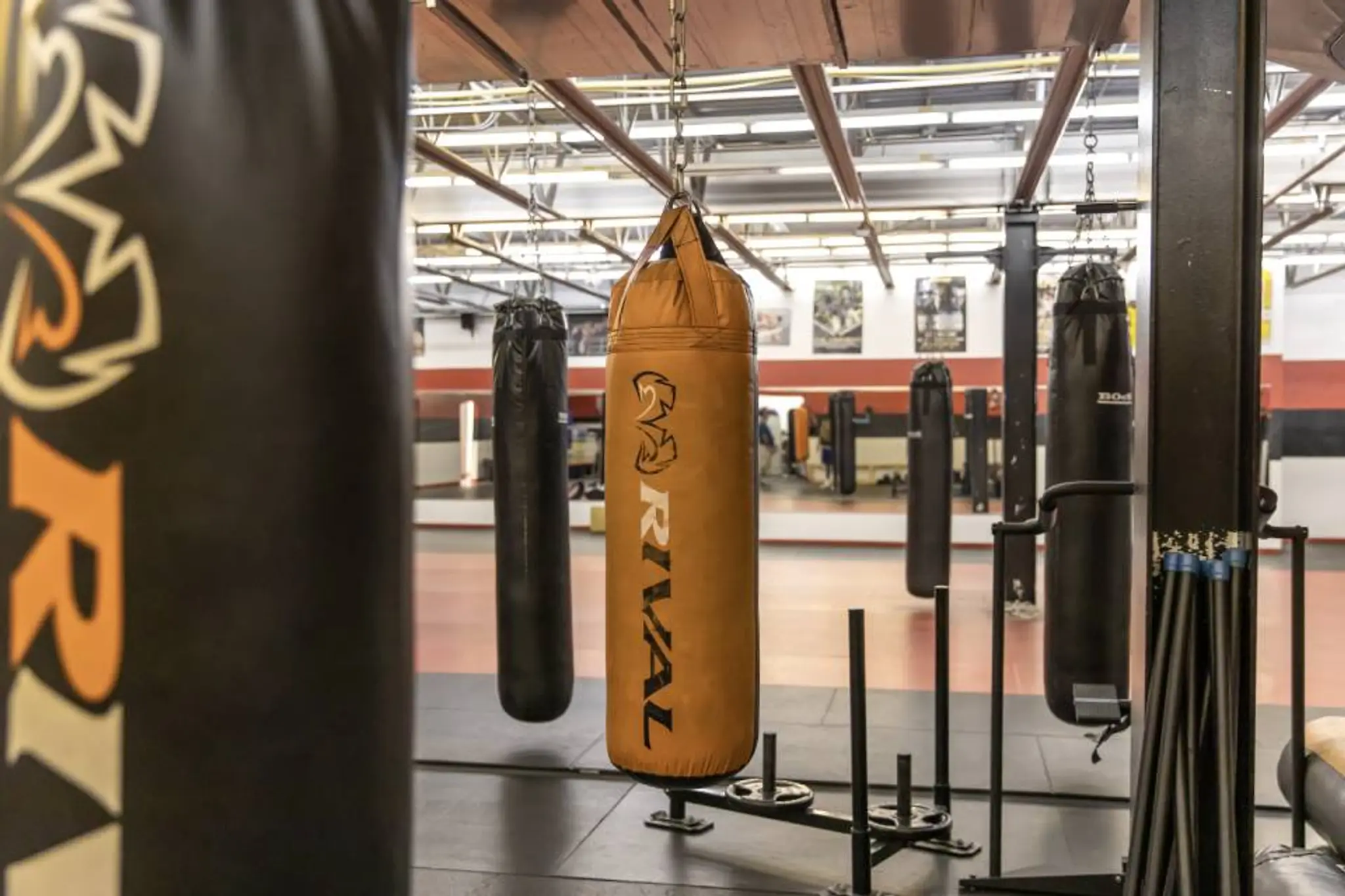 Impact Boxing and Fitness