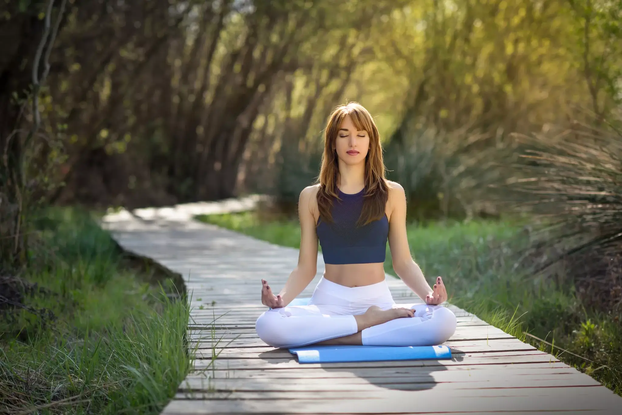Divine Yog Commune