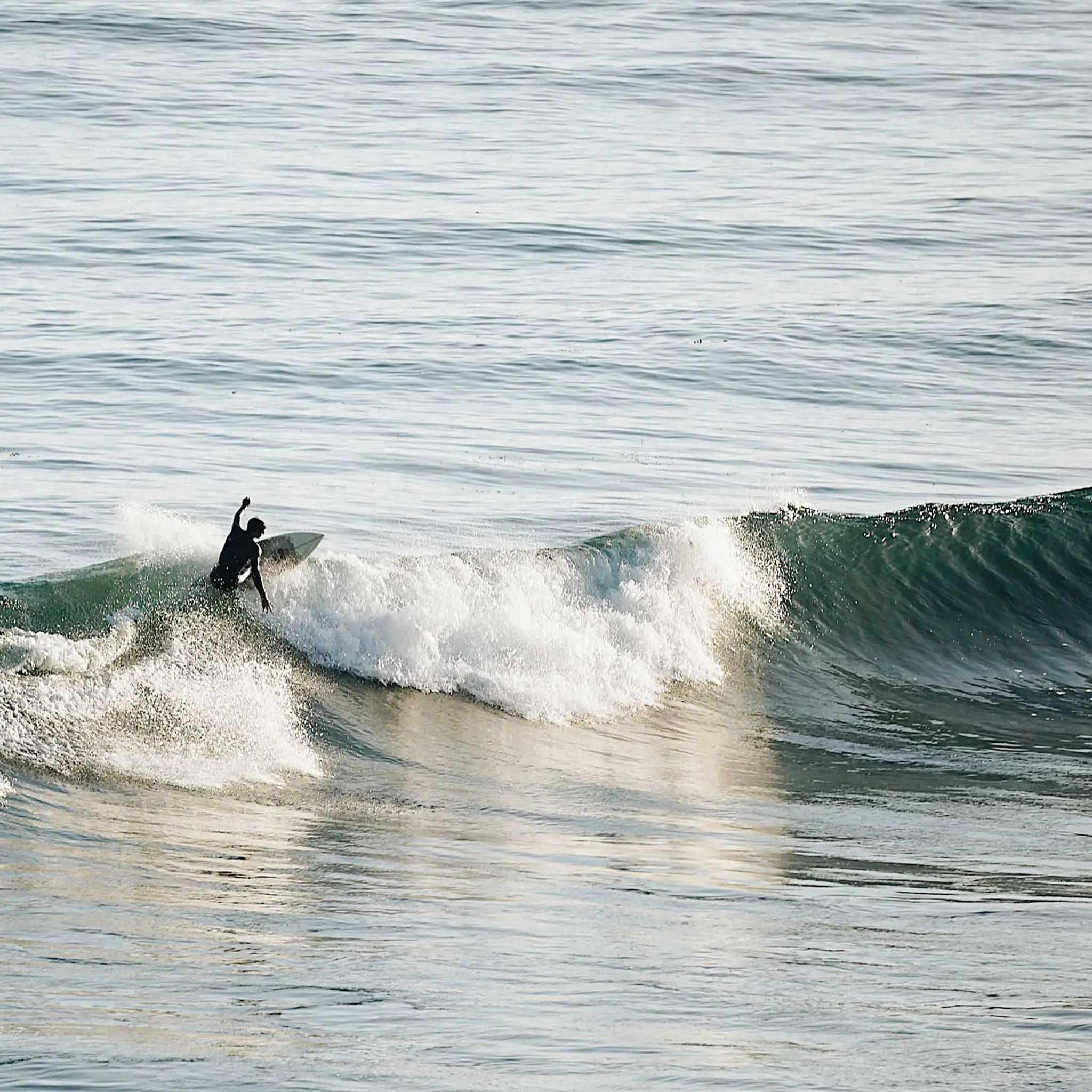 Waihi Beach Surf School