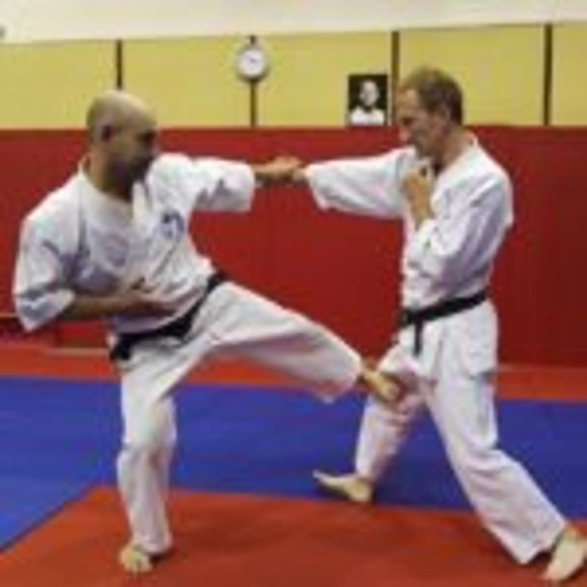 Wado Ryu Lyon Confluence - Unsui Dojo