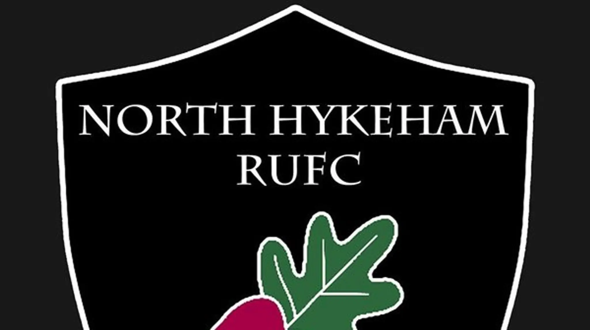 North Hykeham Rugby pitch