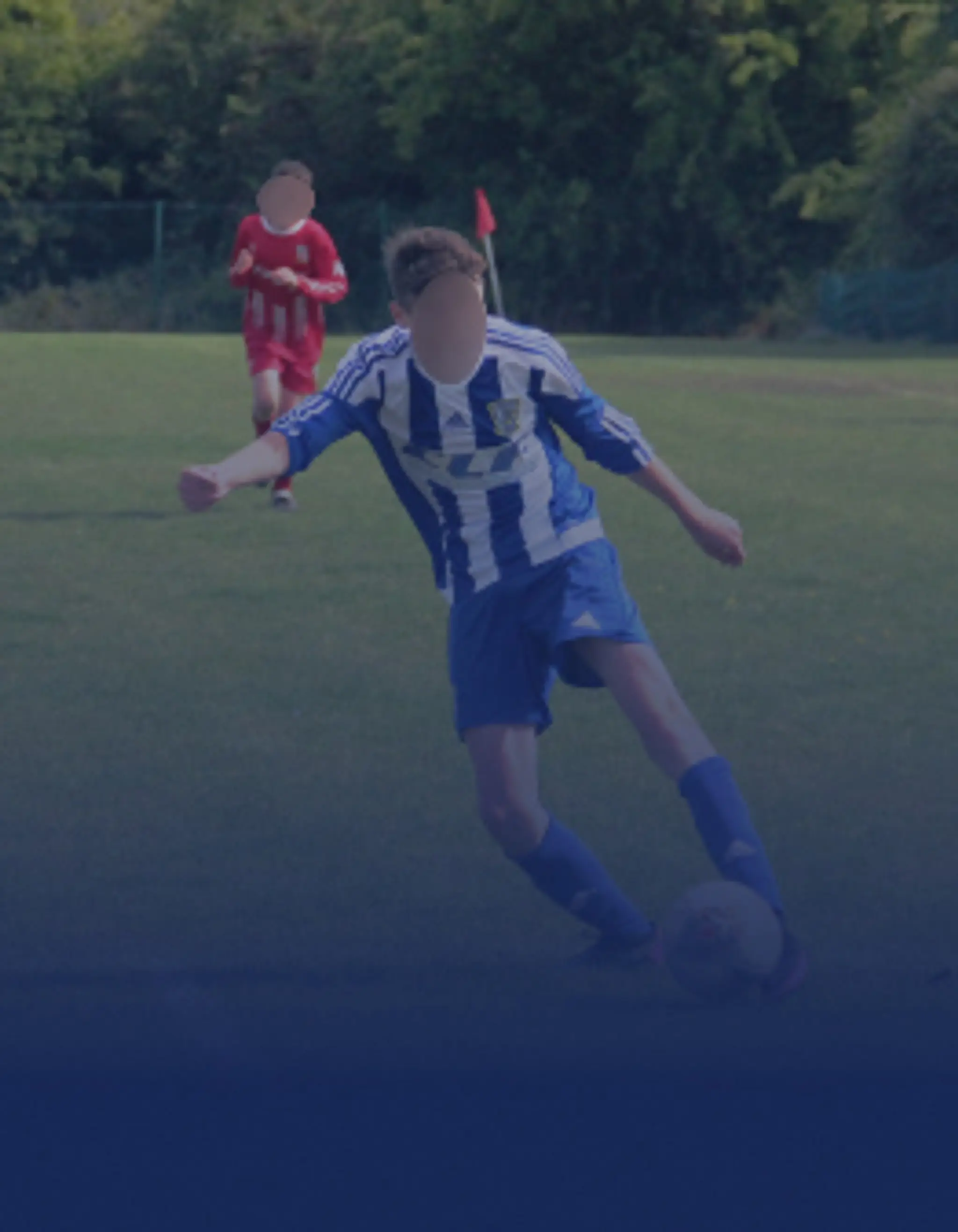 Ratoath Harps - Codliss Pitch