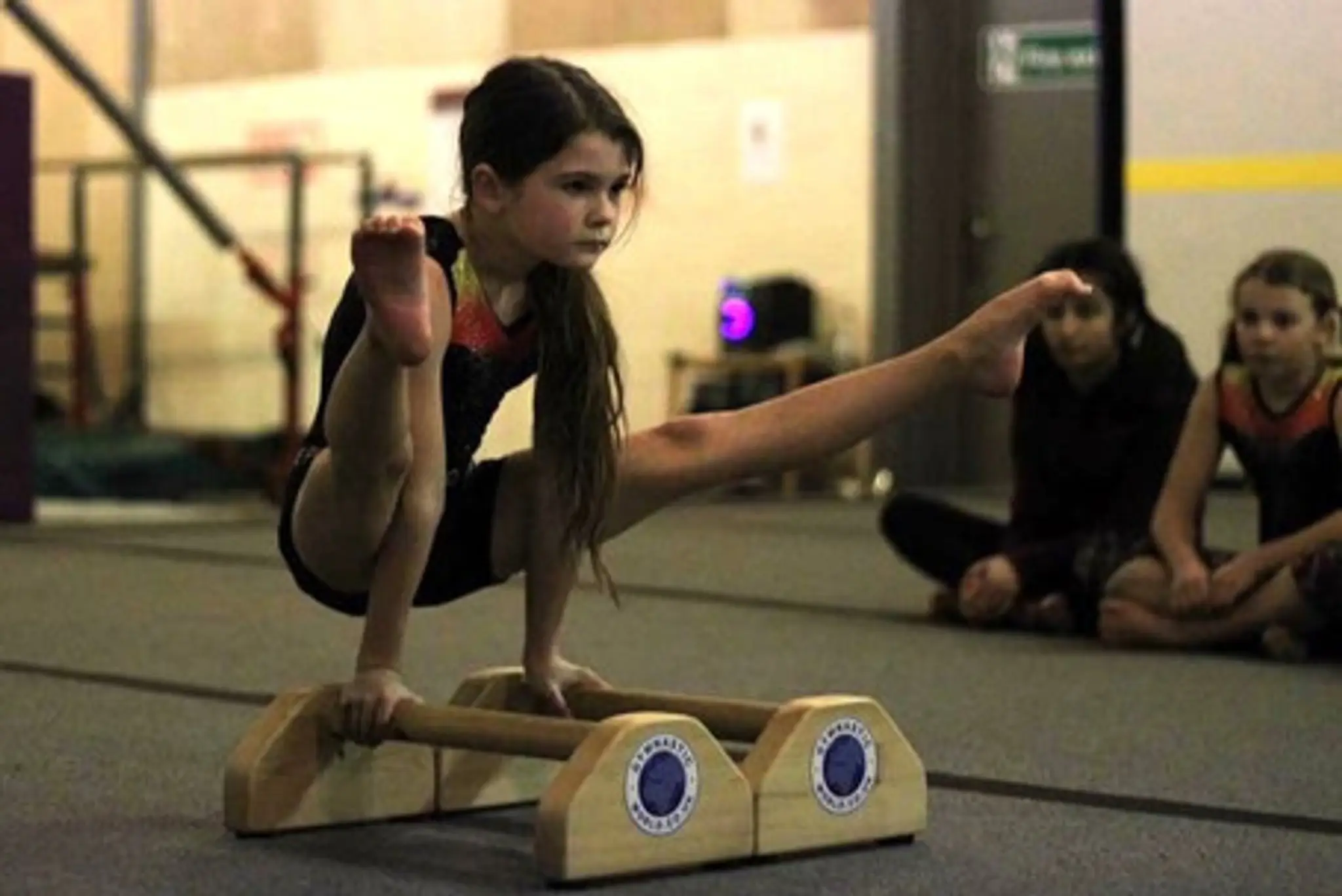Elmfield Gymnastics Club