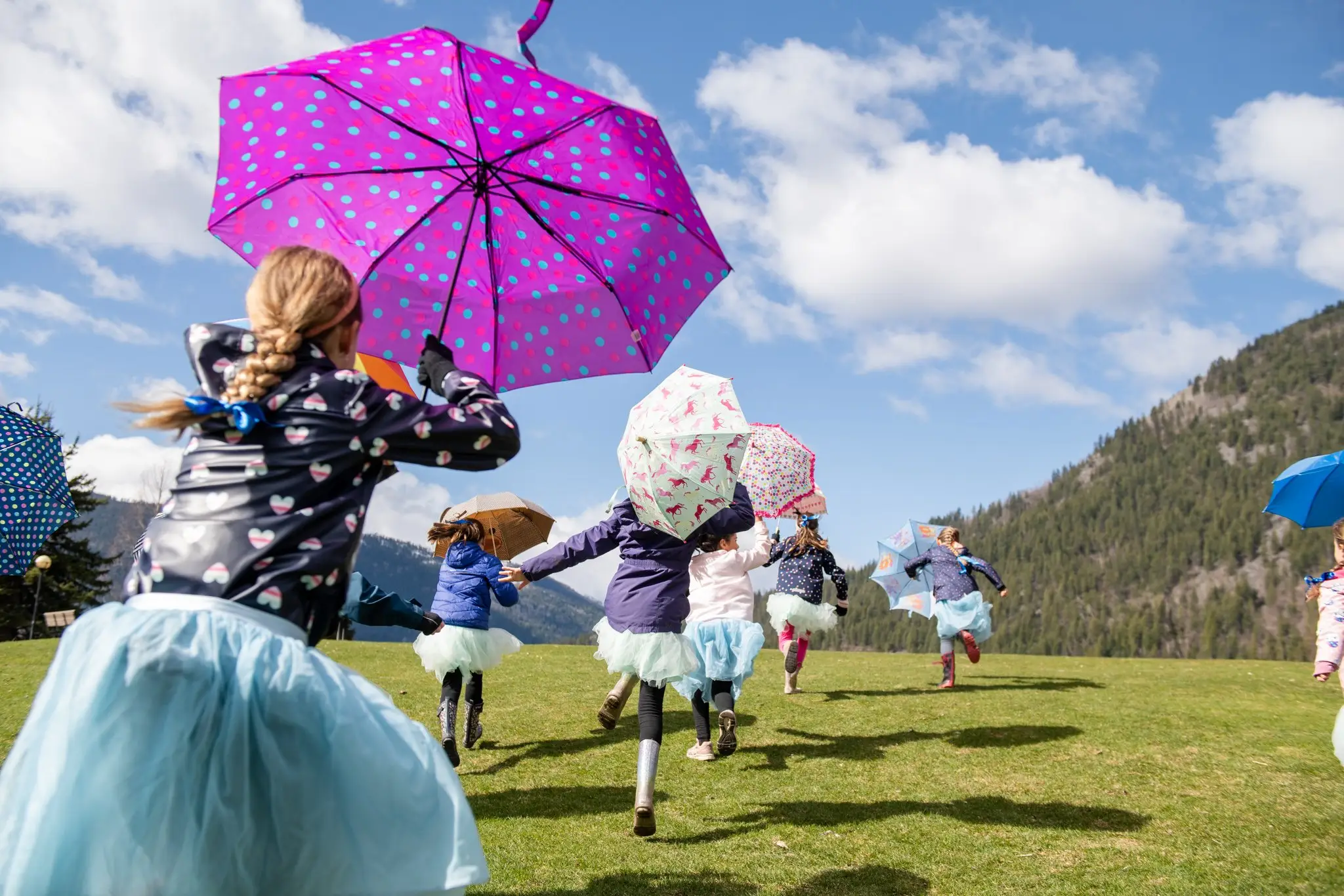 Dance Umbrella Studio