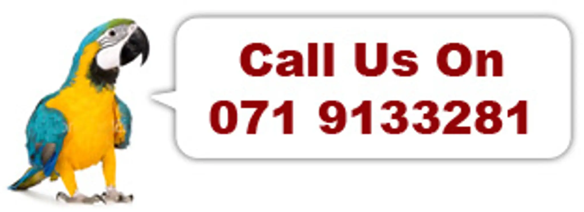 Funny Bones Children's Activity Centre