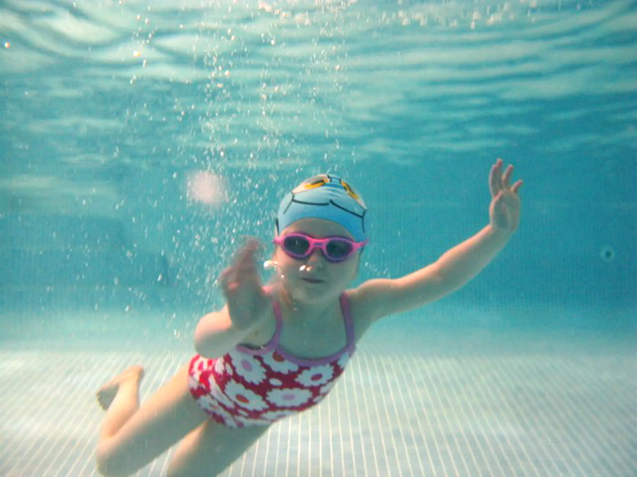 Sailfish Swim School