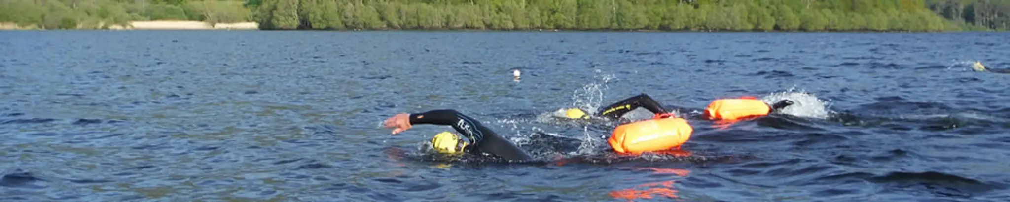 Swim on the Wild Side Ltd