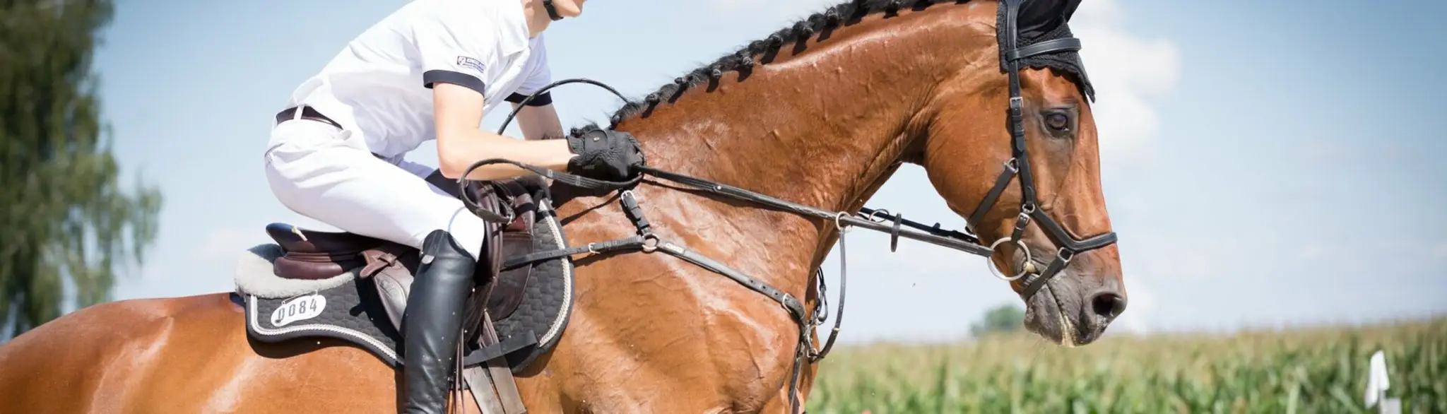 Ecole Départ. D'equitation Pony Club