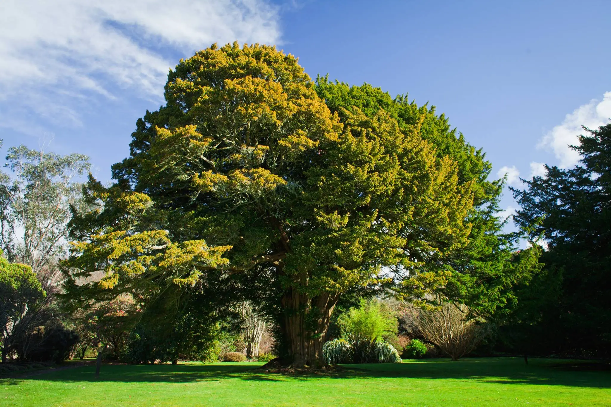 Kelburn Equestrian Centre