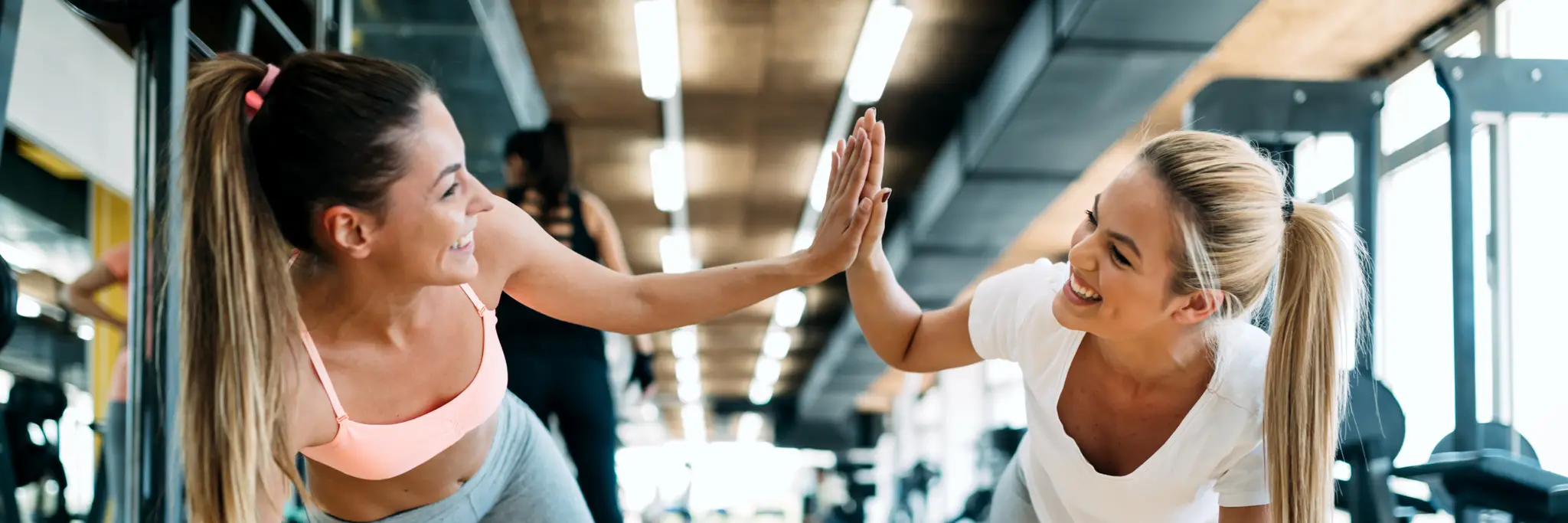 Fernwood Gym Hornsby