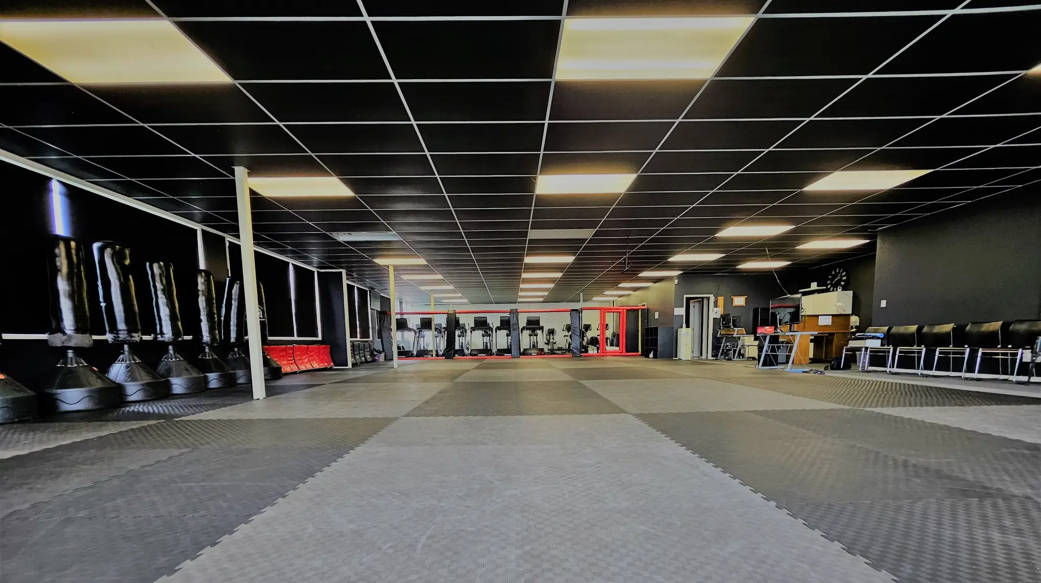 Martial Fitness