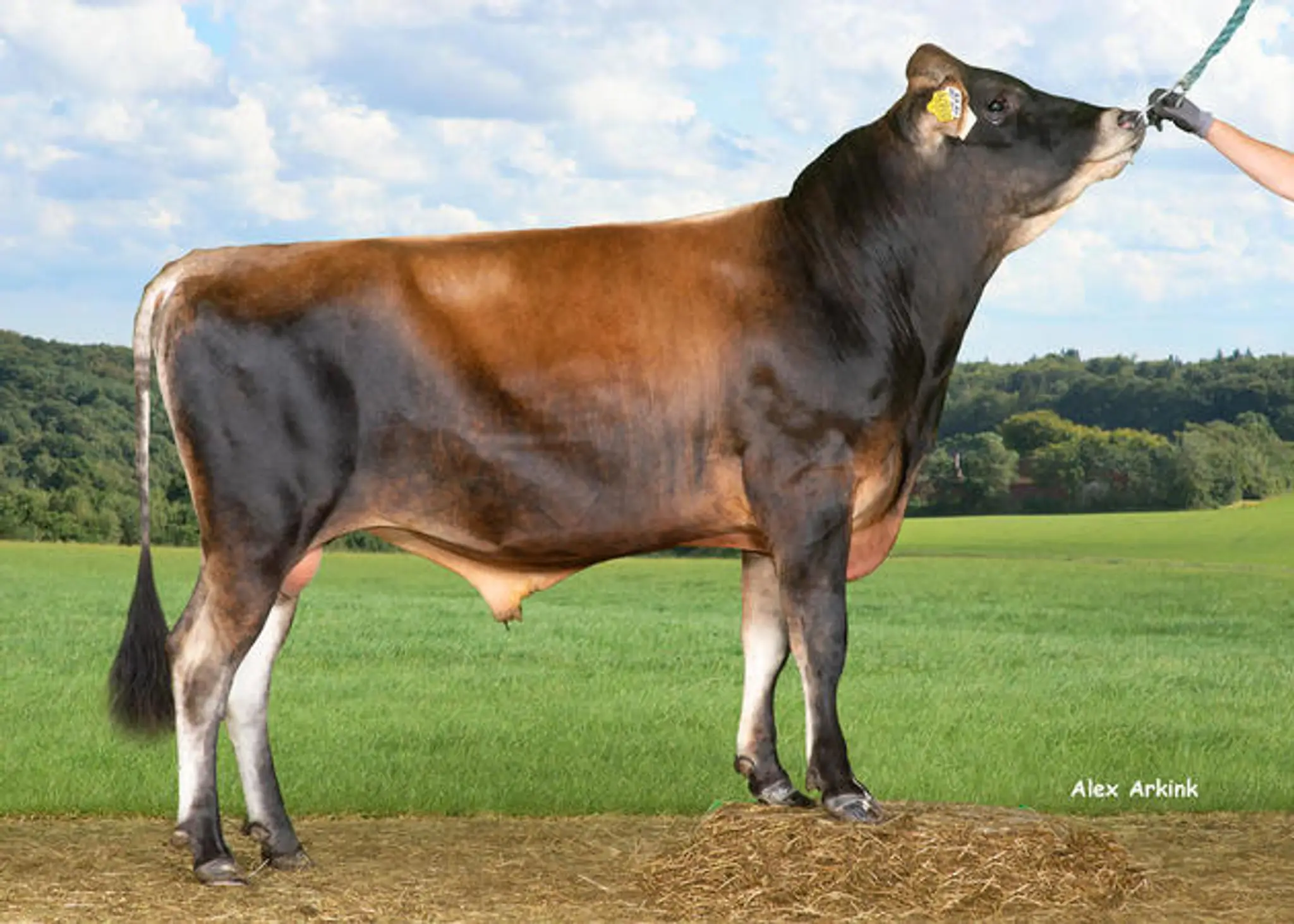 Gen France