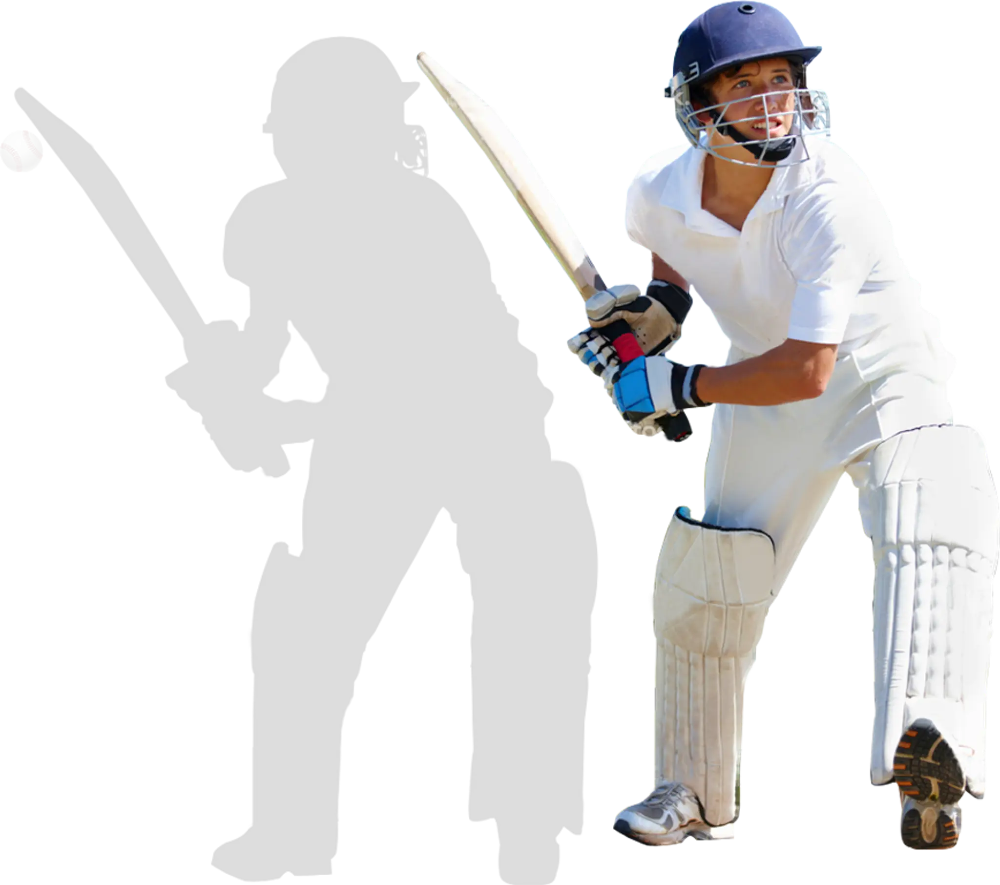 Red Toss Cricket Academy