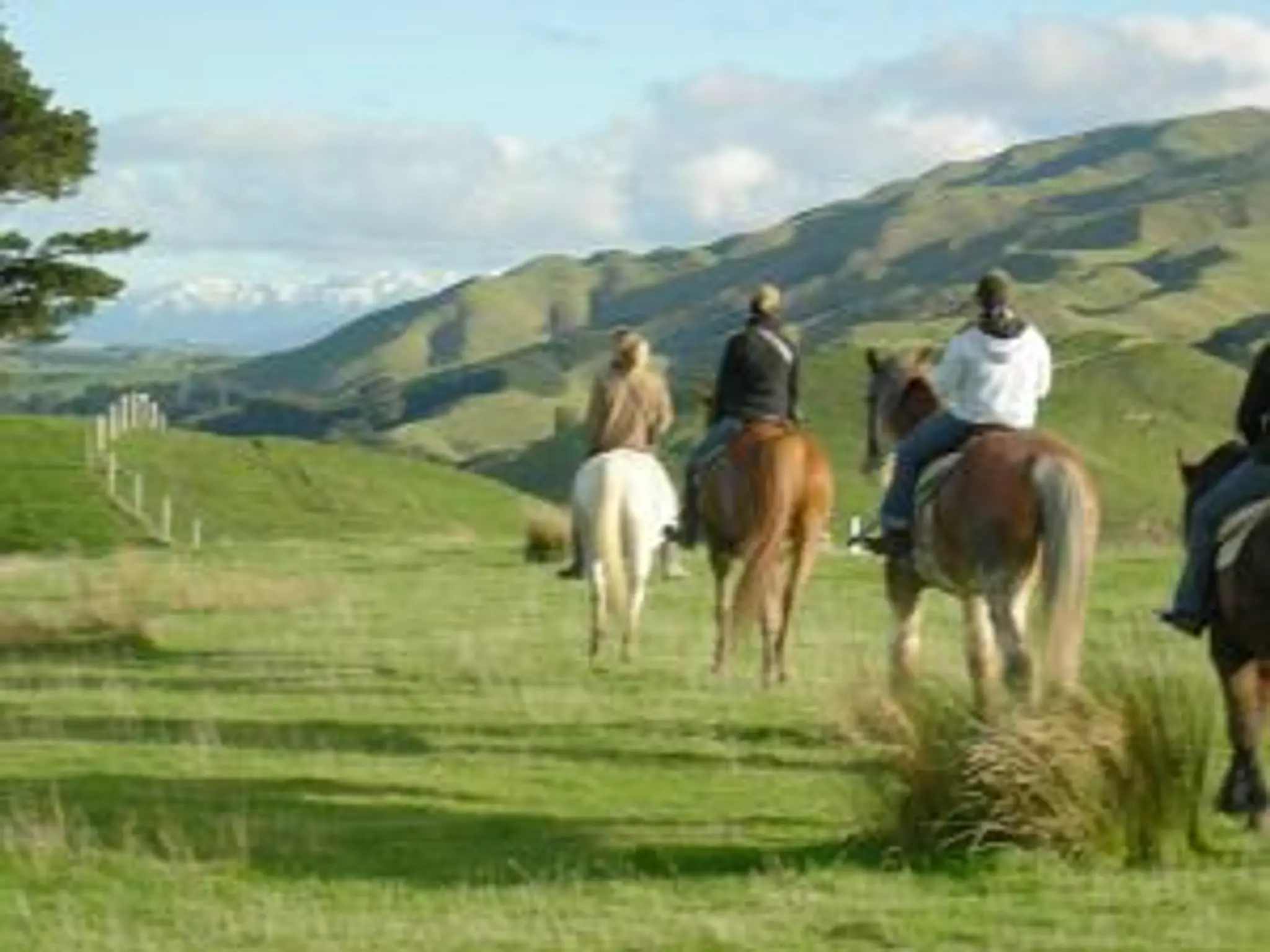 Timeless Horse Treks