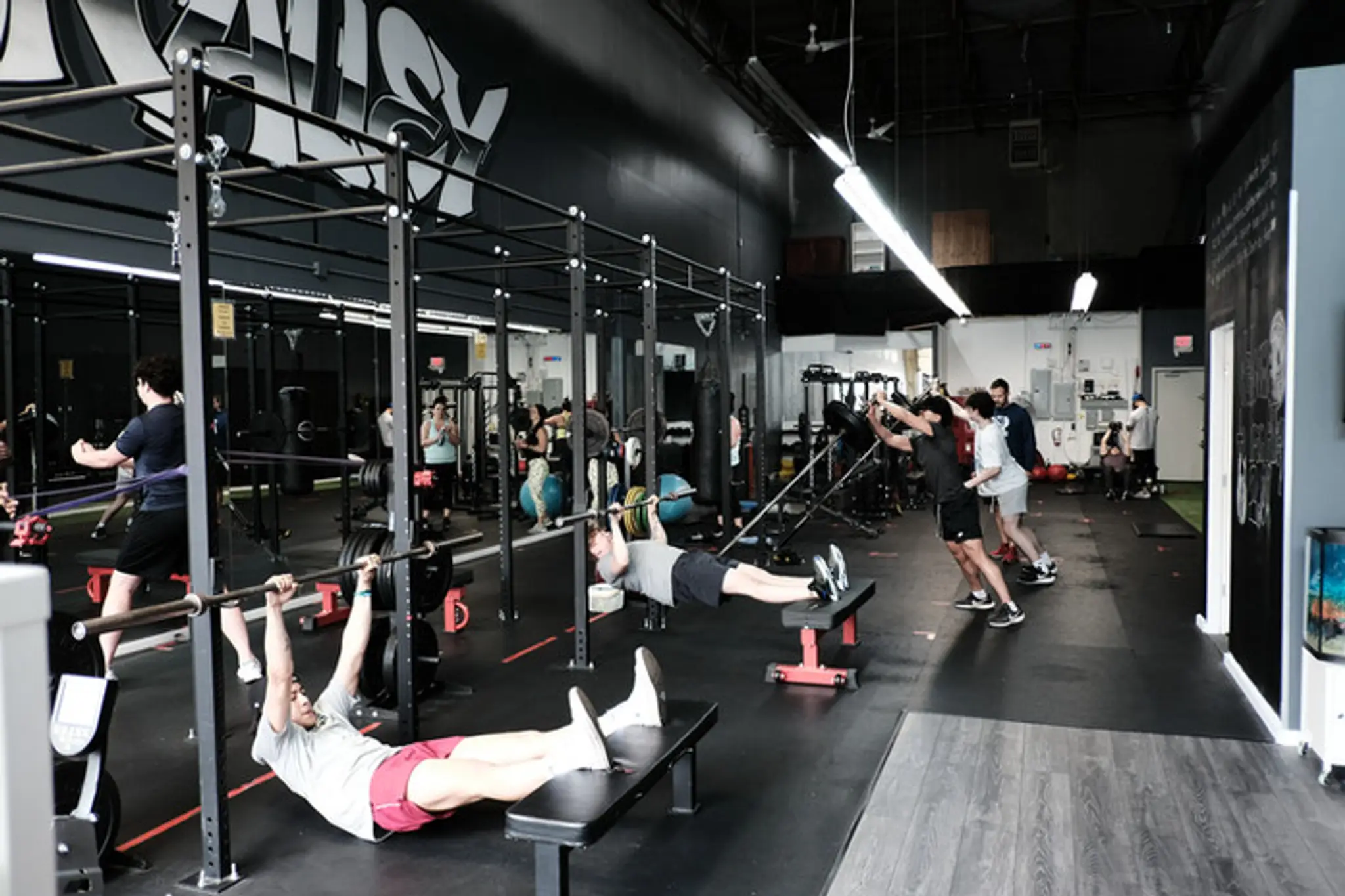 SWT Club Personal Training