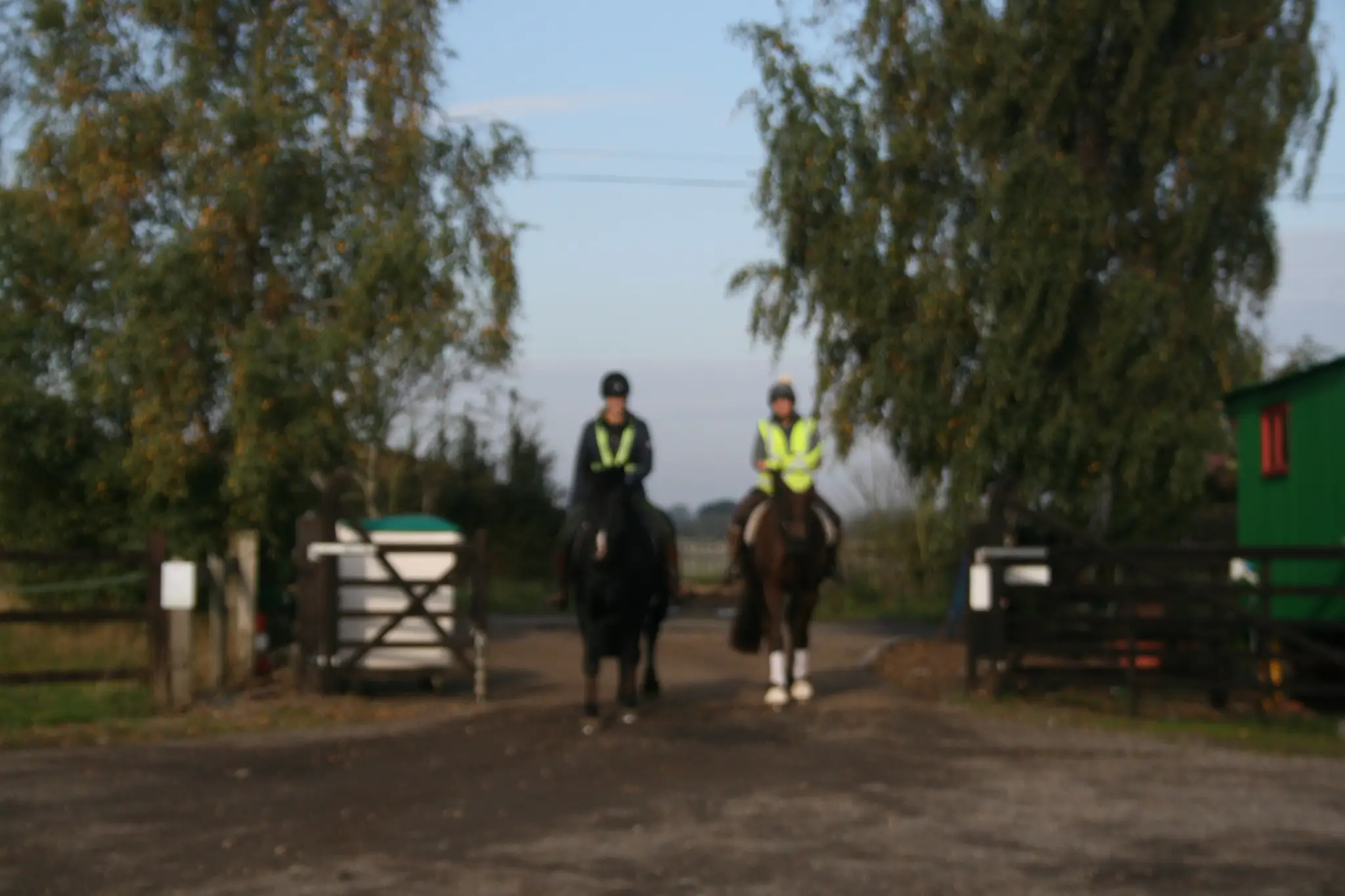Woodbine Riding Stables