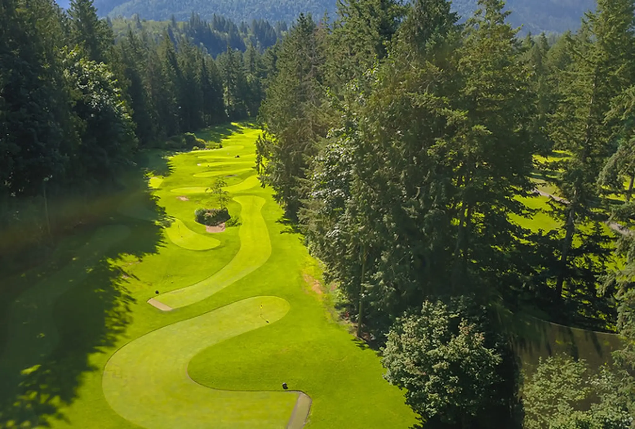 Tap-Ins Putting Course
