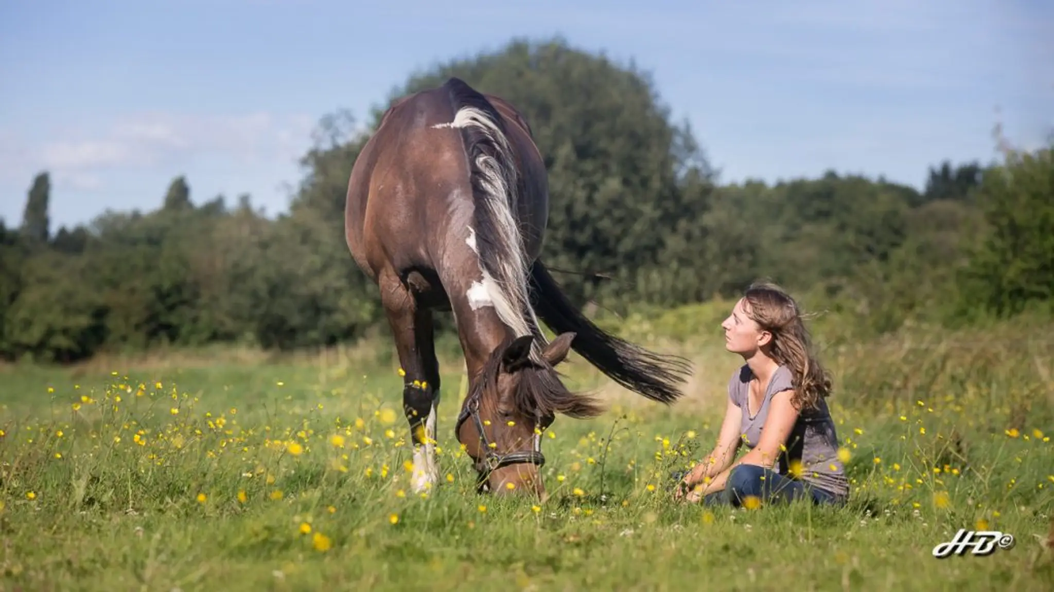 Sur le Chemin des Sabots