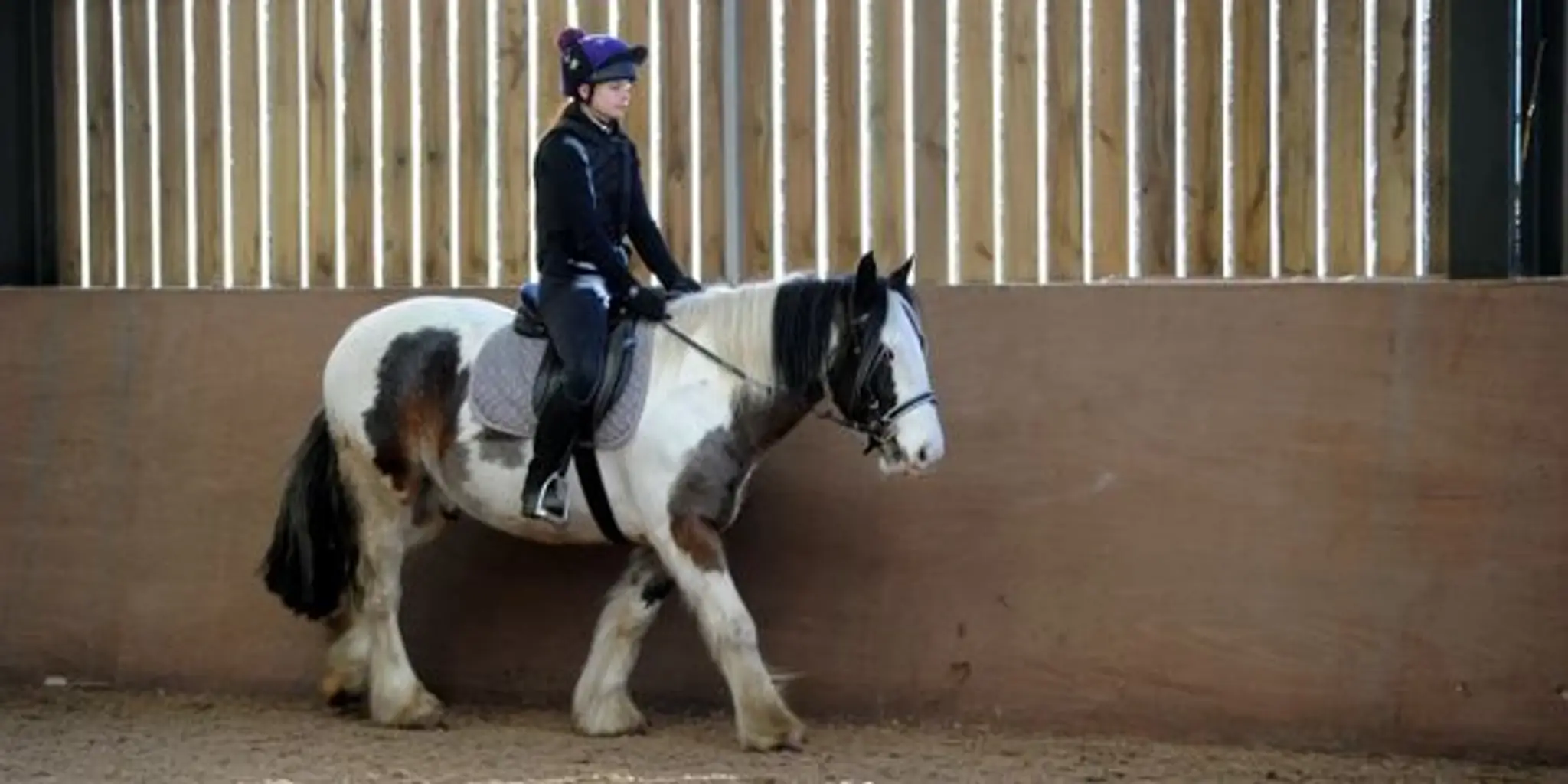 Hole Farm Trekking Centre