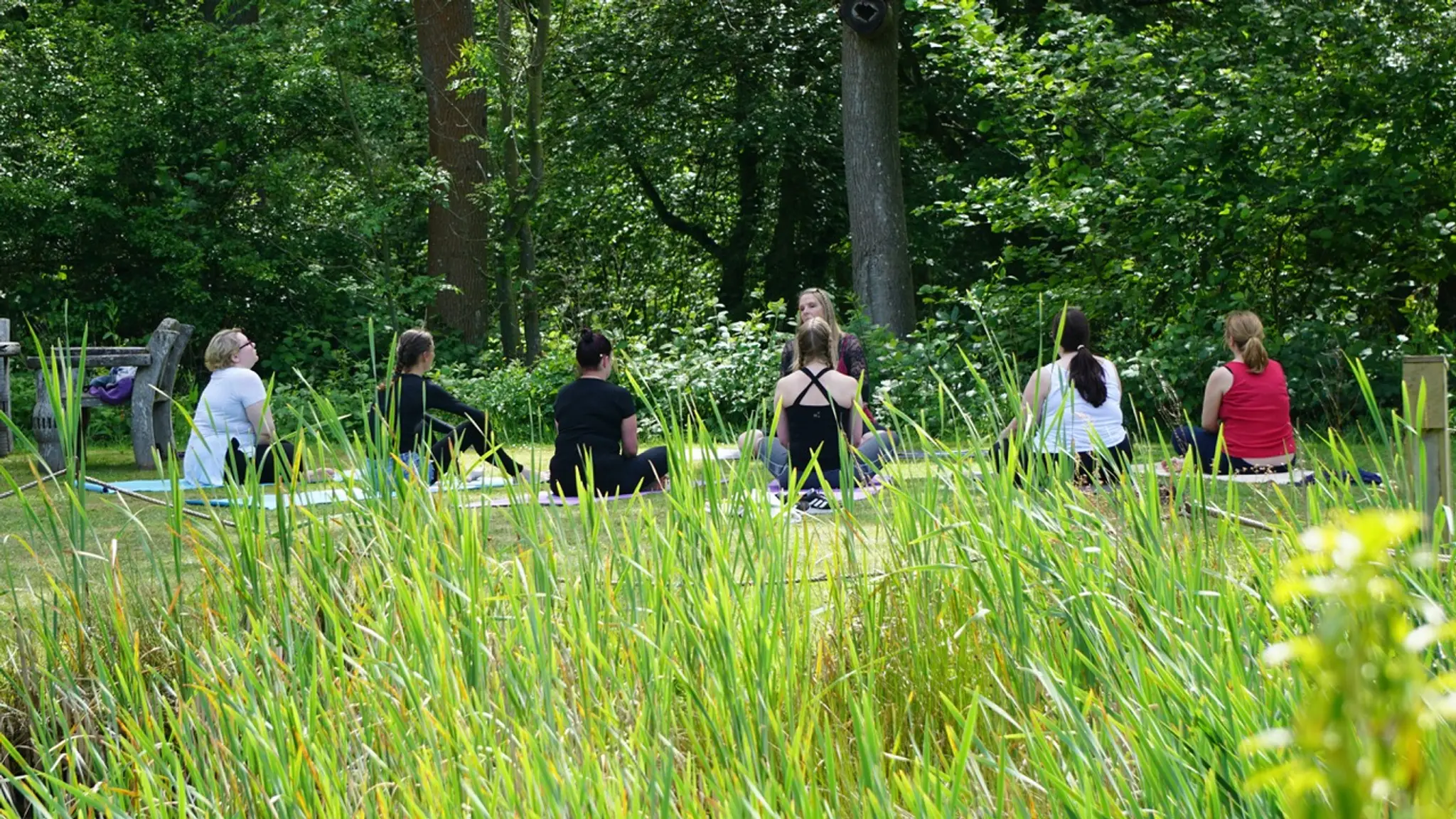 Forest Garden Shovelstrode Ltd