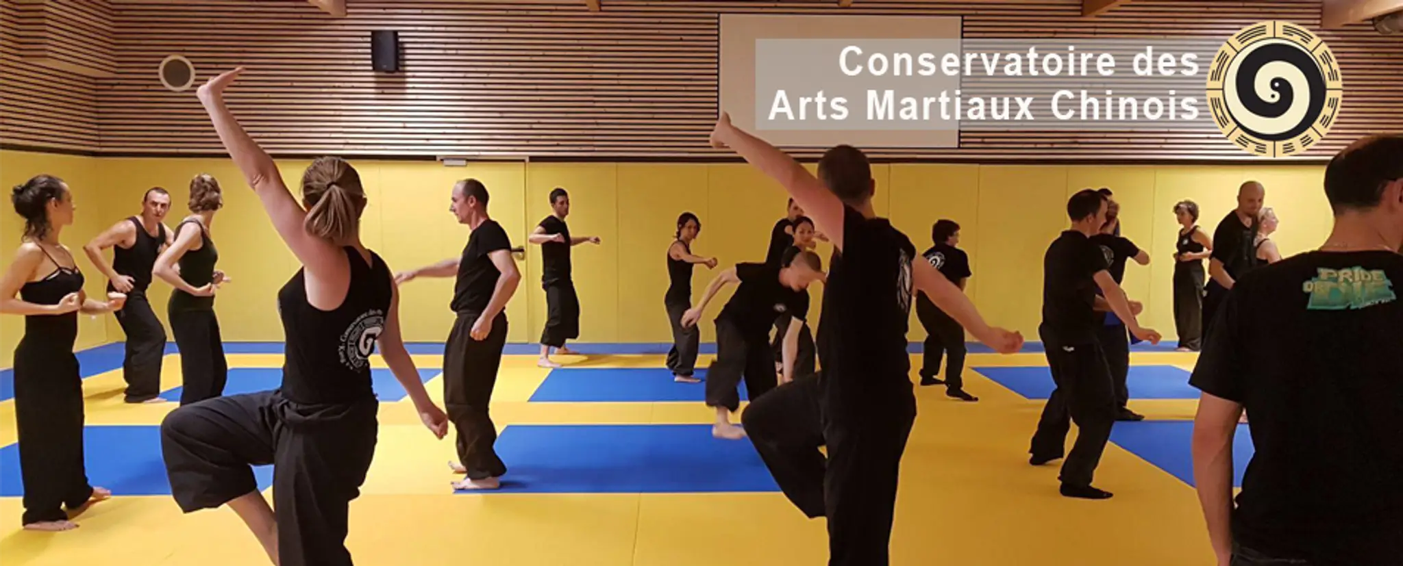 Conservatory Art Martiaux Chinois