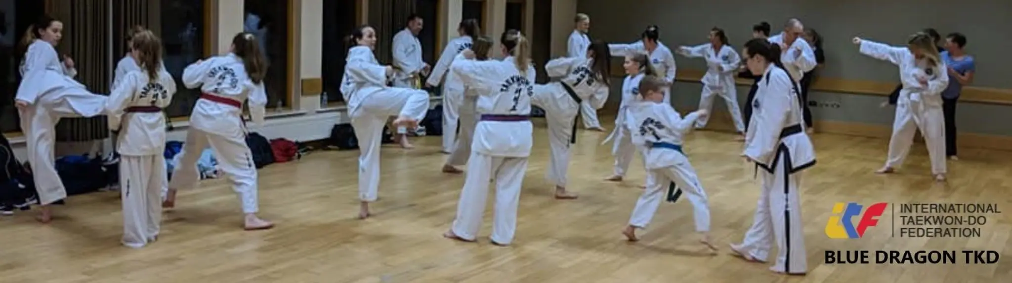 Blue Dragon Taekwon-Do - Cuddington