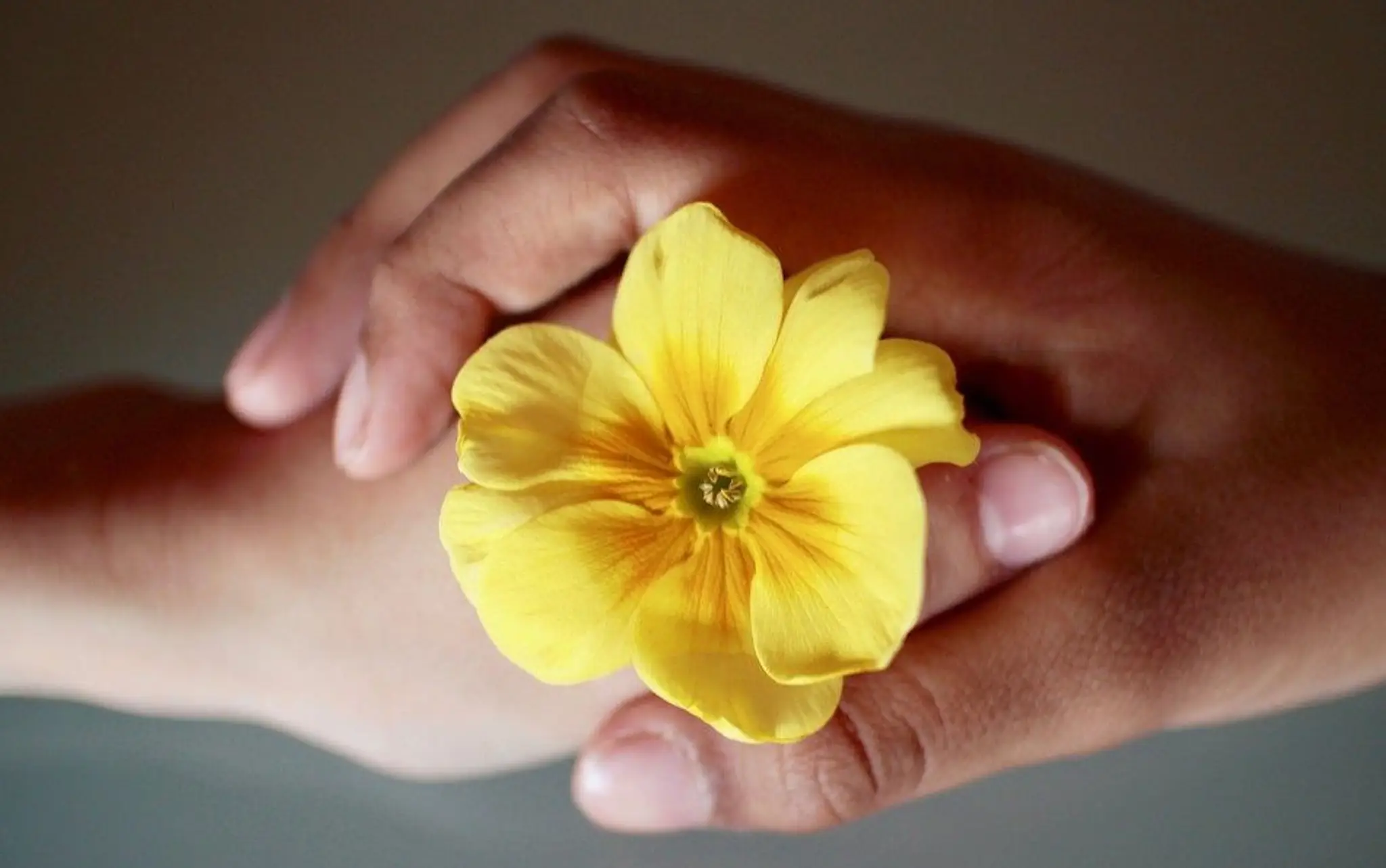 Elisabeth DUFOUR | Coaching | Thérapie | Psychothérapie | Individuel | Parental | Scolaire | PNL | Saint-Brevin