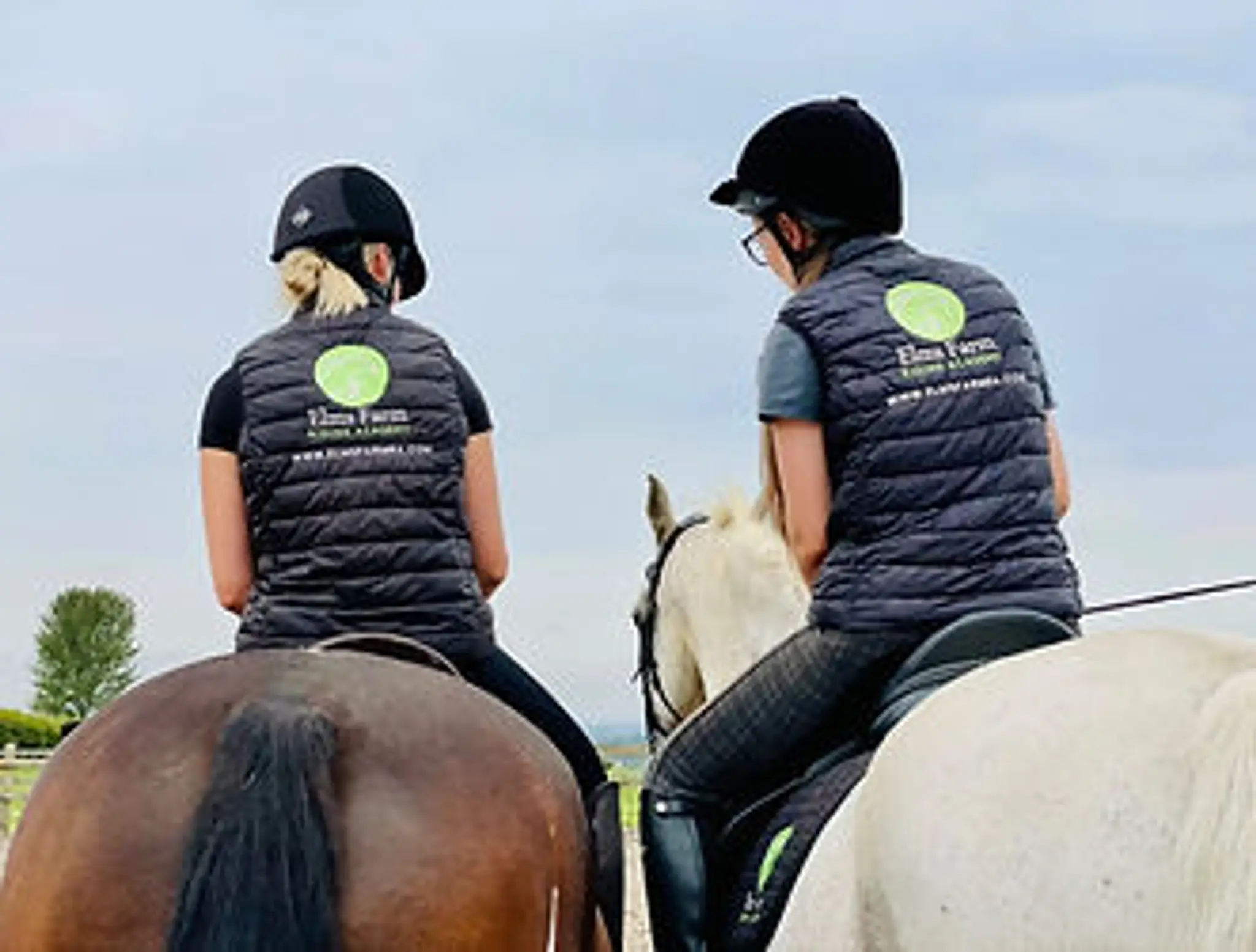 Elms Farm Riding Academy