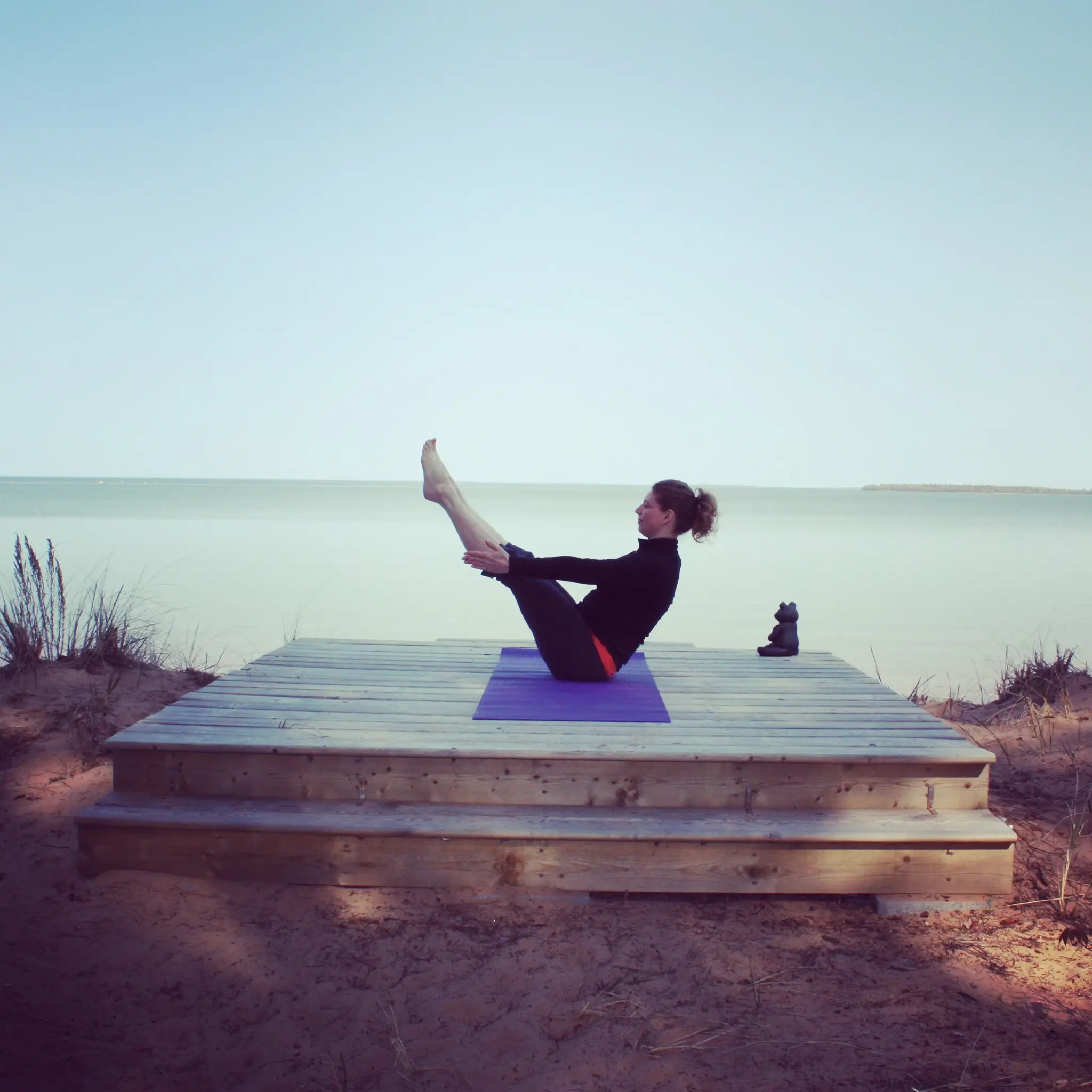 Superior Coaching and Wellness Solutions