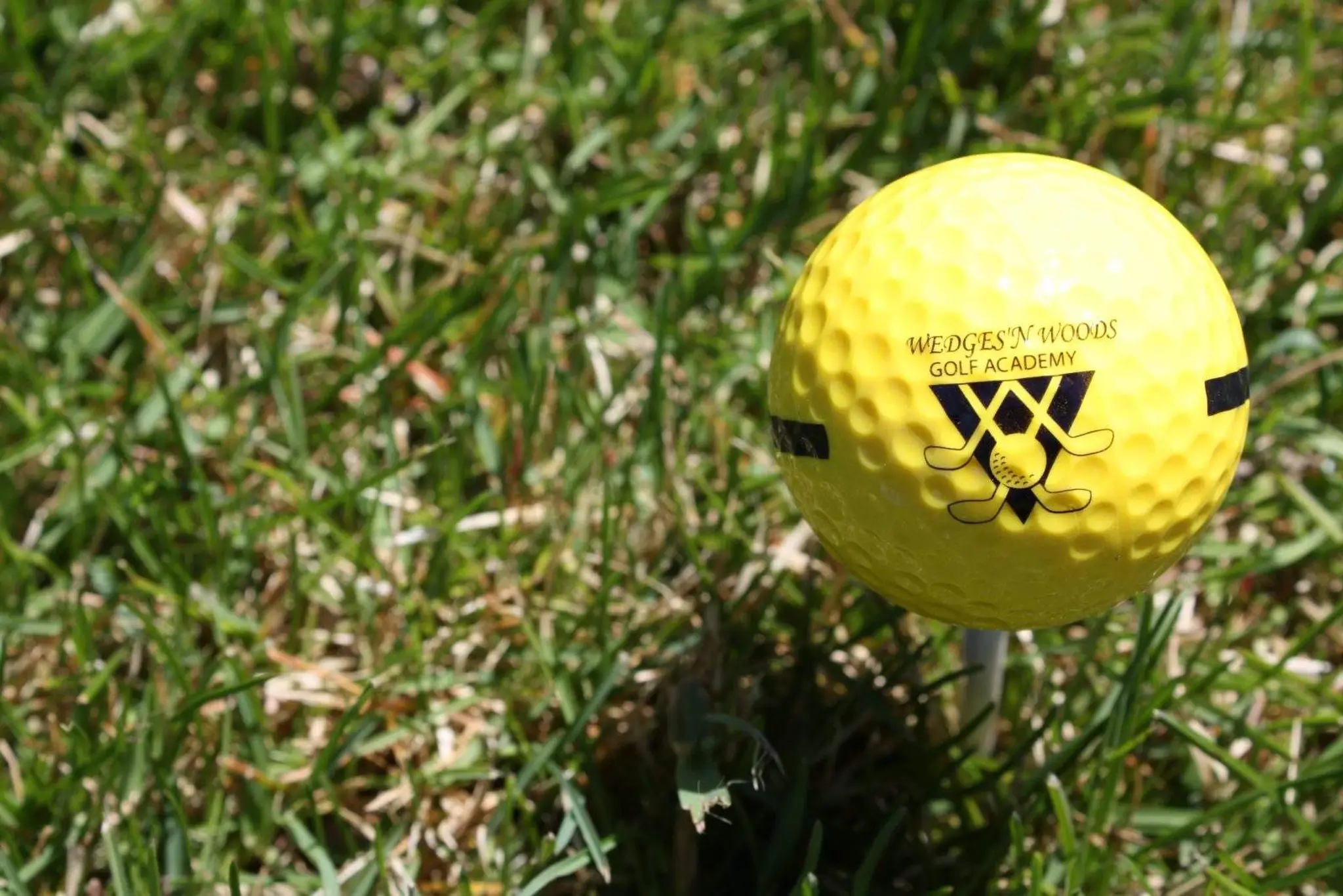 Wedges 'N Woods Golf Academy