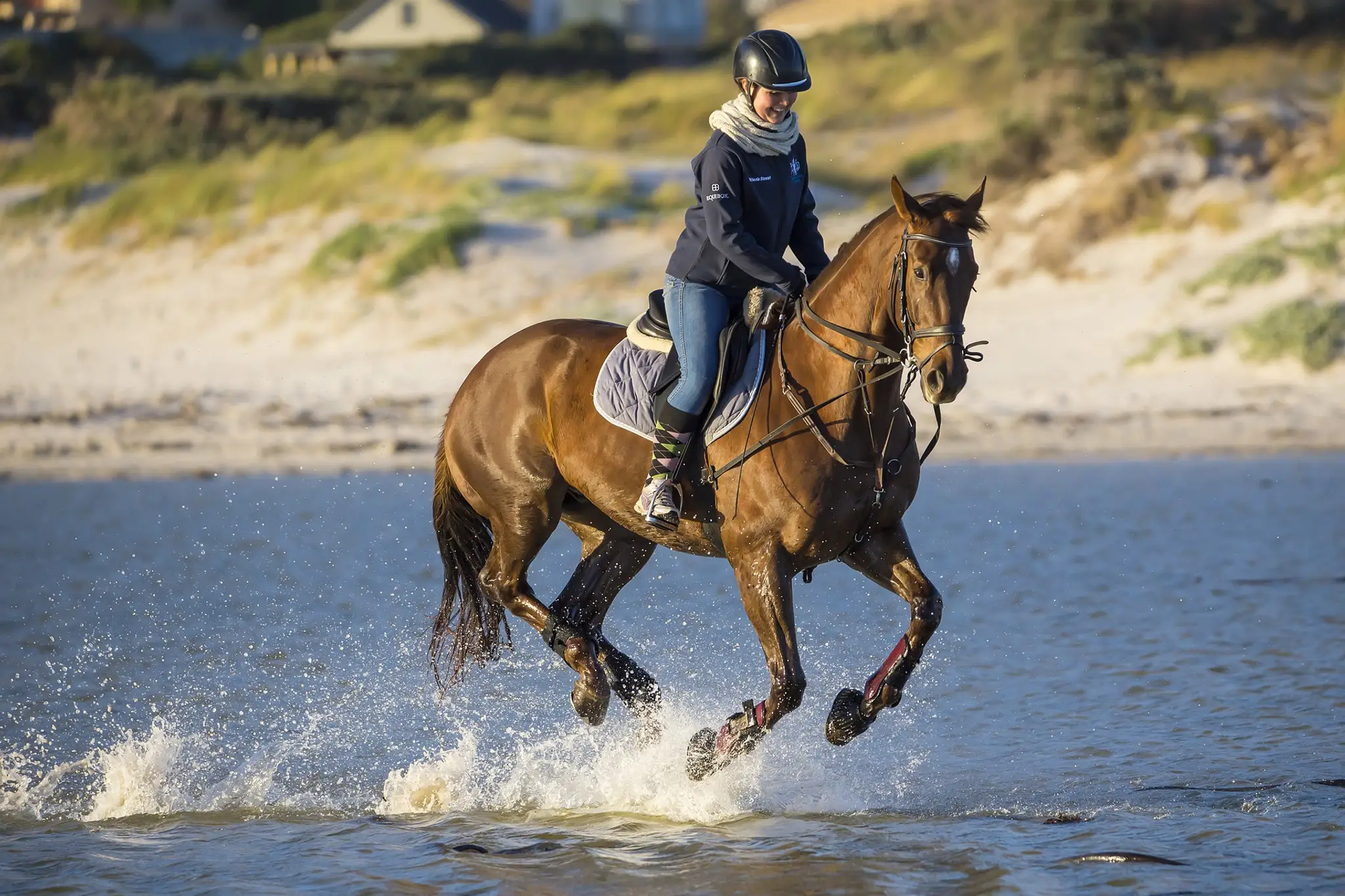 Carinya Park Equestrian Centre