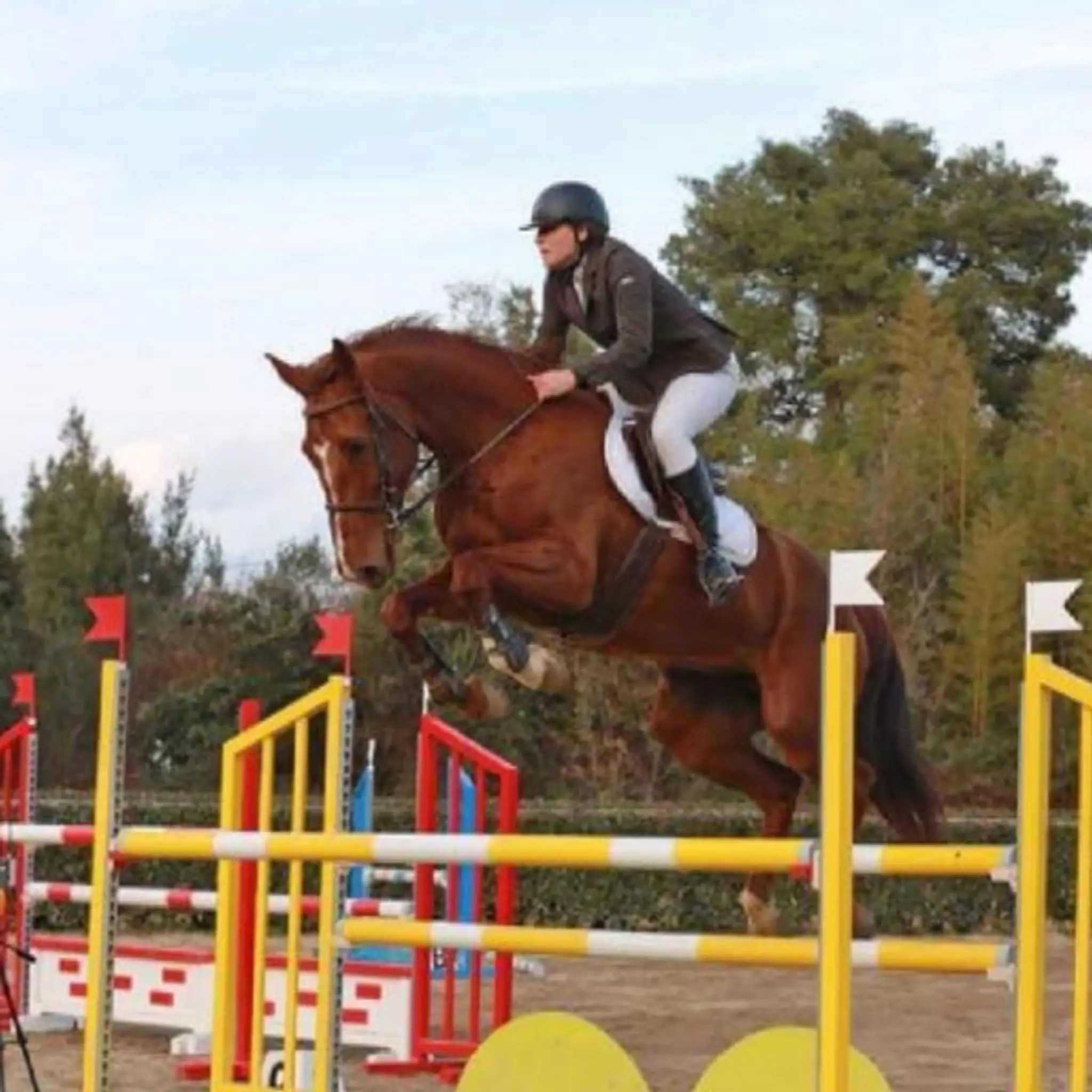 Equestrian Center L' Ypsos