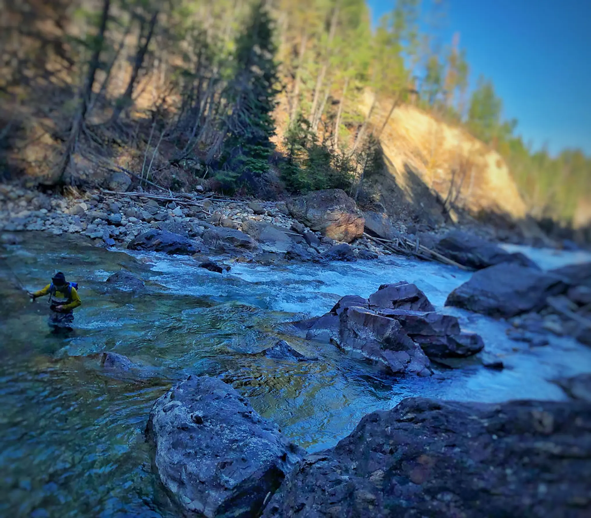 Revolutions Adventures