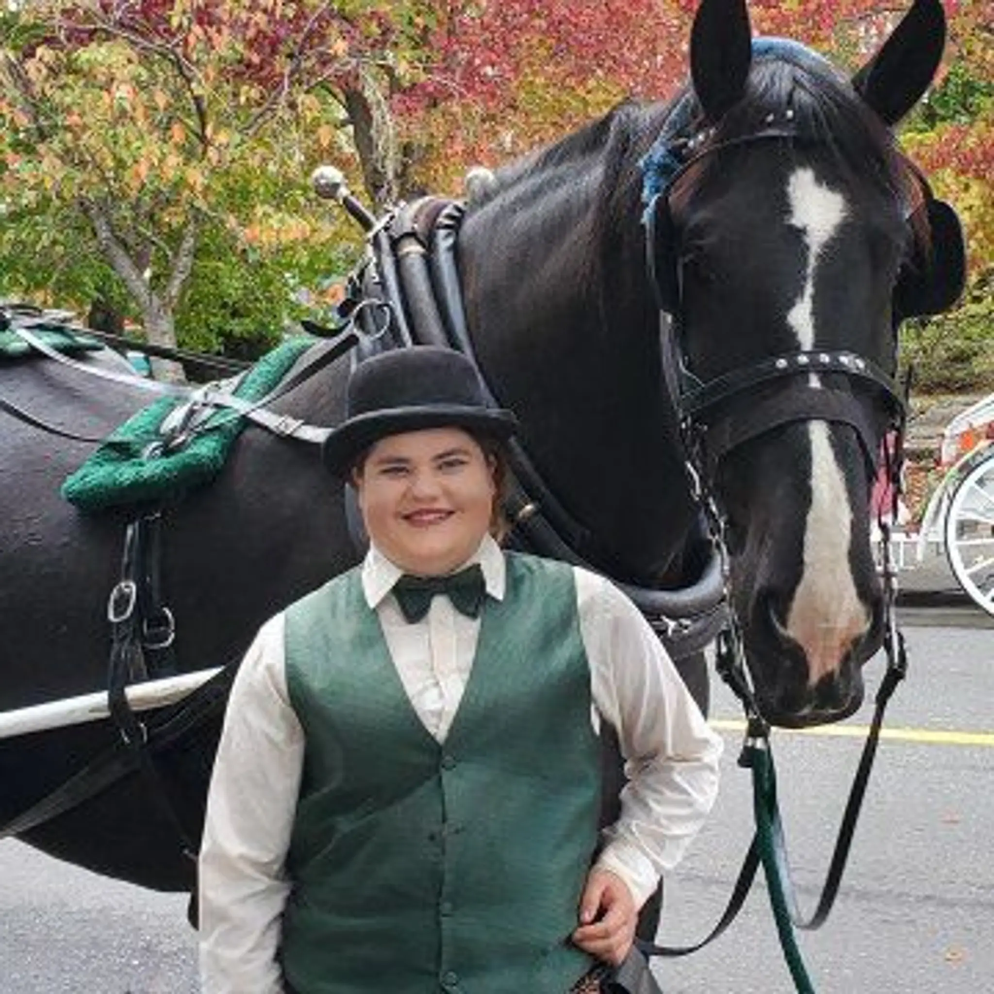 Victoria Carriage Tours