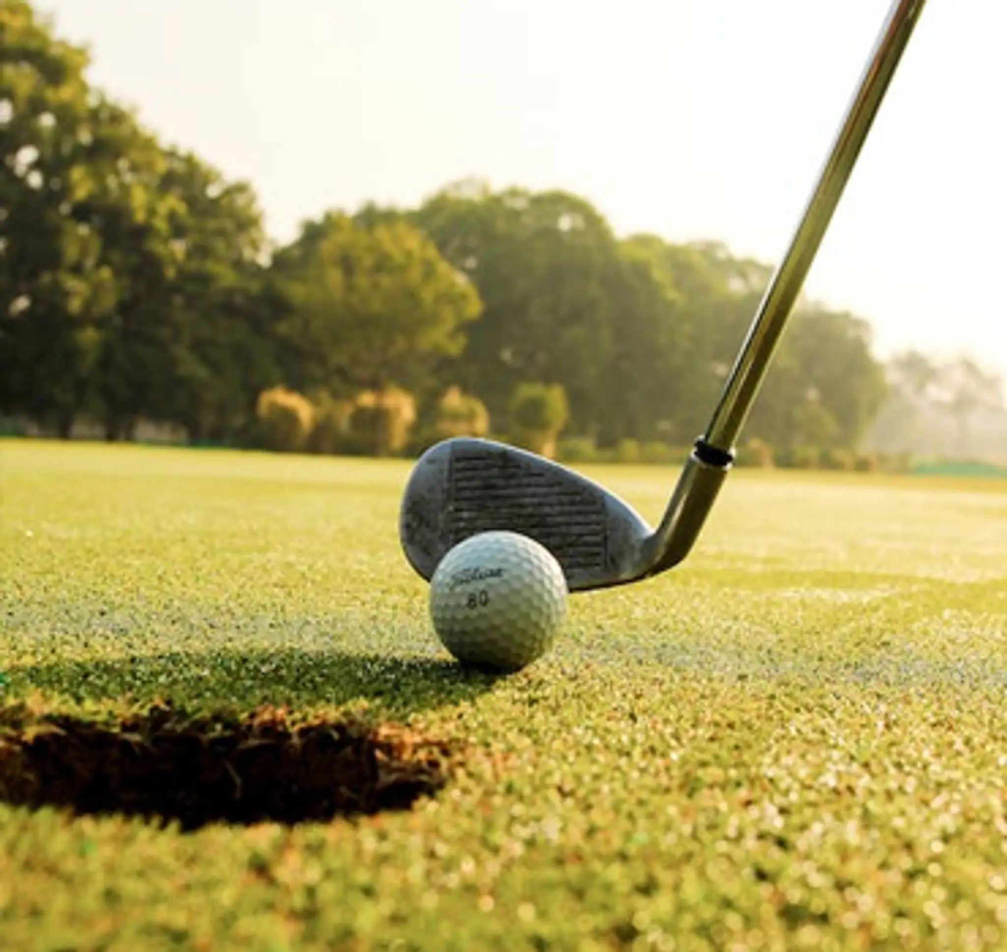 The Indian Golf Union