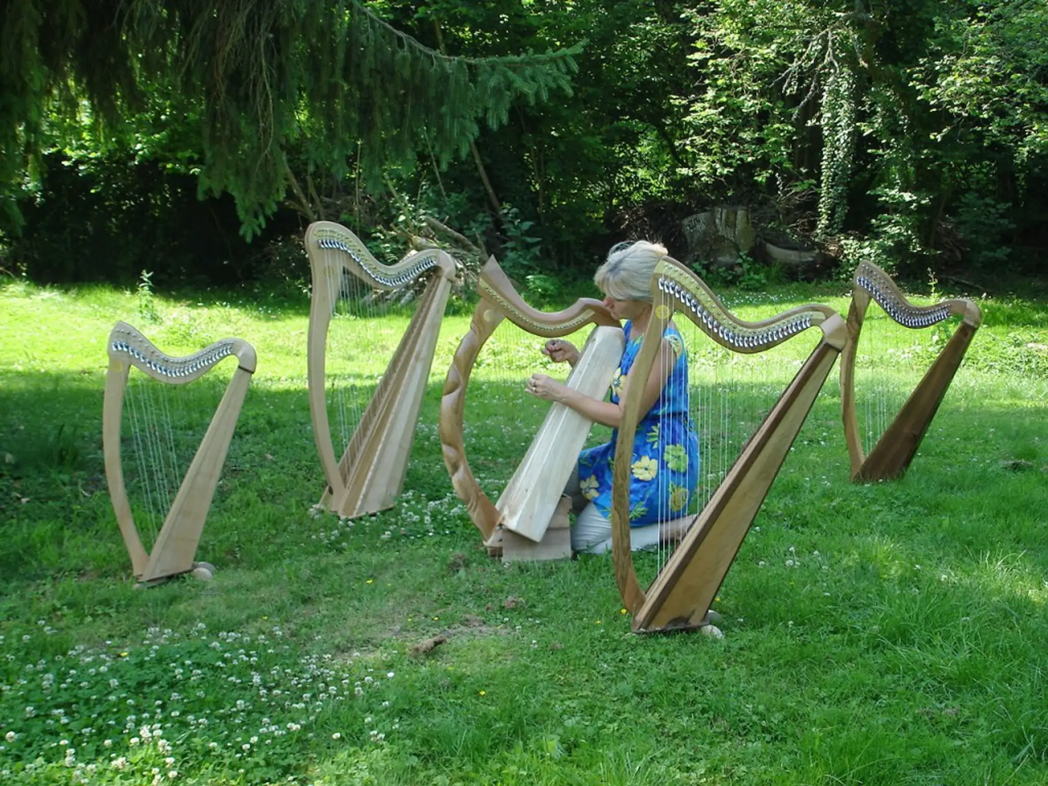 Alfaric Harps