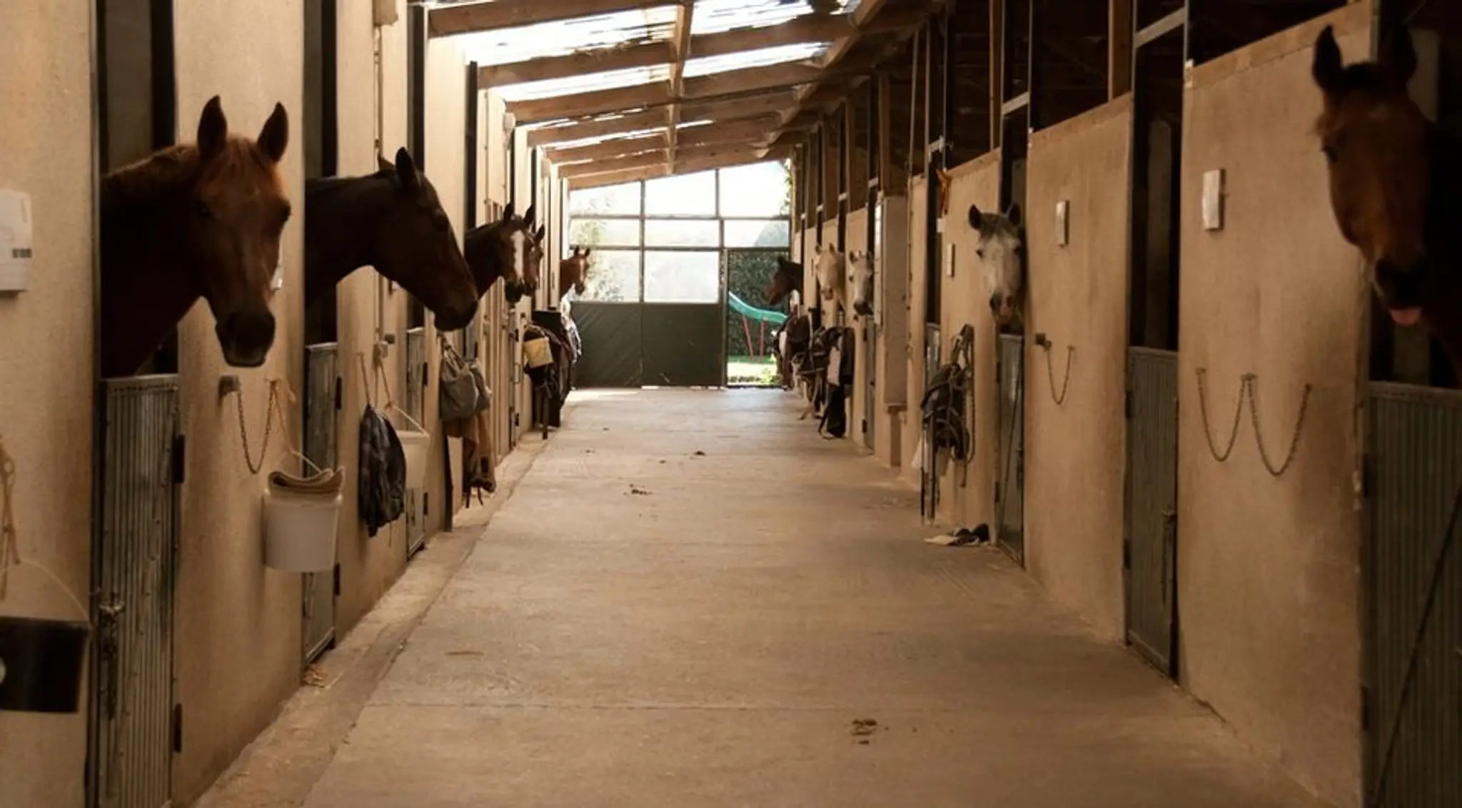 ECURIES DU VENDOMOIS