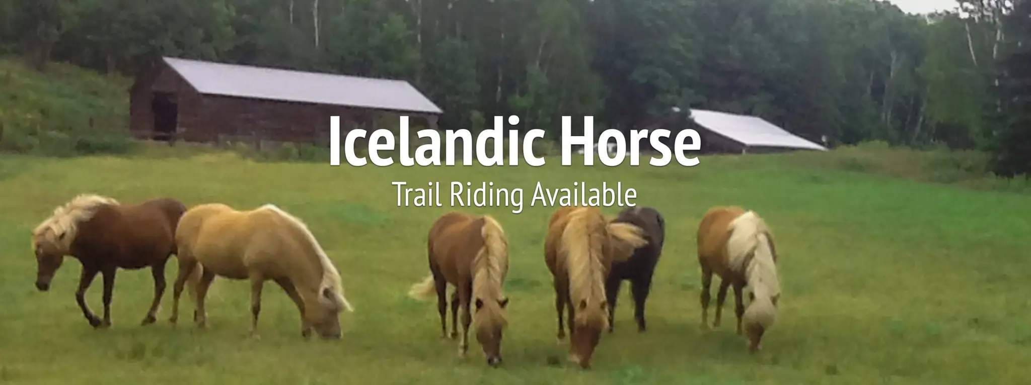 Otmars Therapeutic Centre