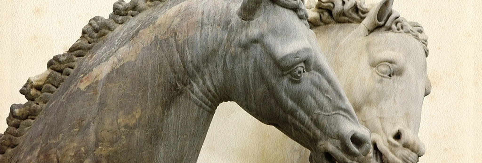 Clip Clop Horseback Riding