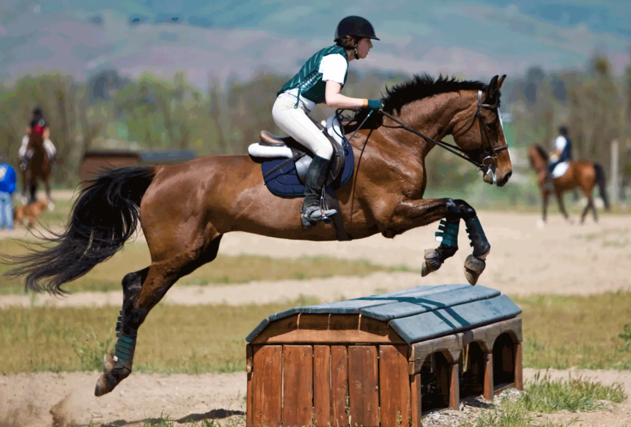 CLUB HIPPIQUE DU BOUSQUET