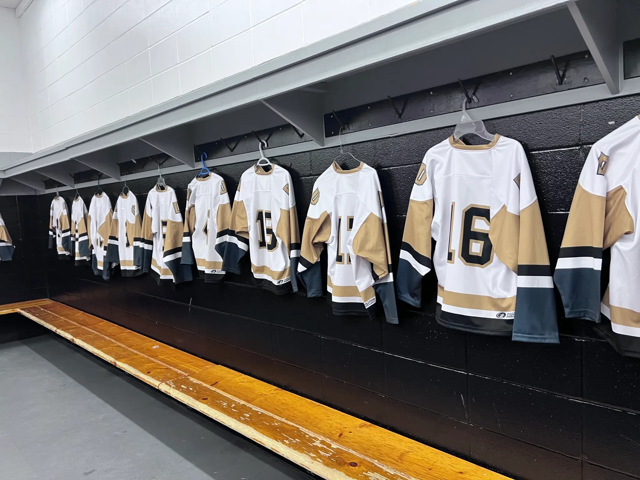 Devon Minor Hockey Association