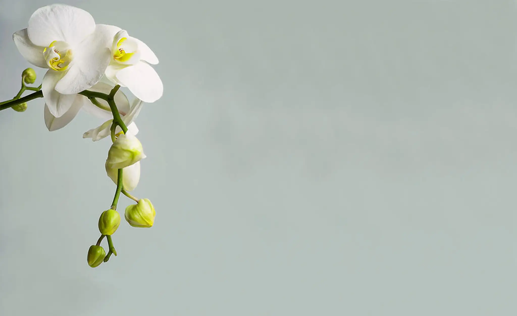 Sabine Petit Naturopathe Instructrice Pilates