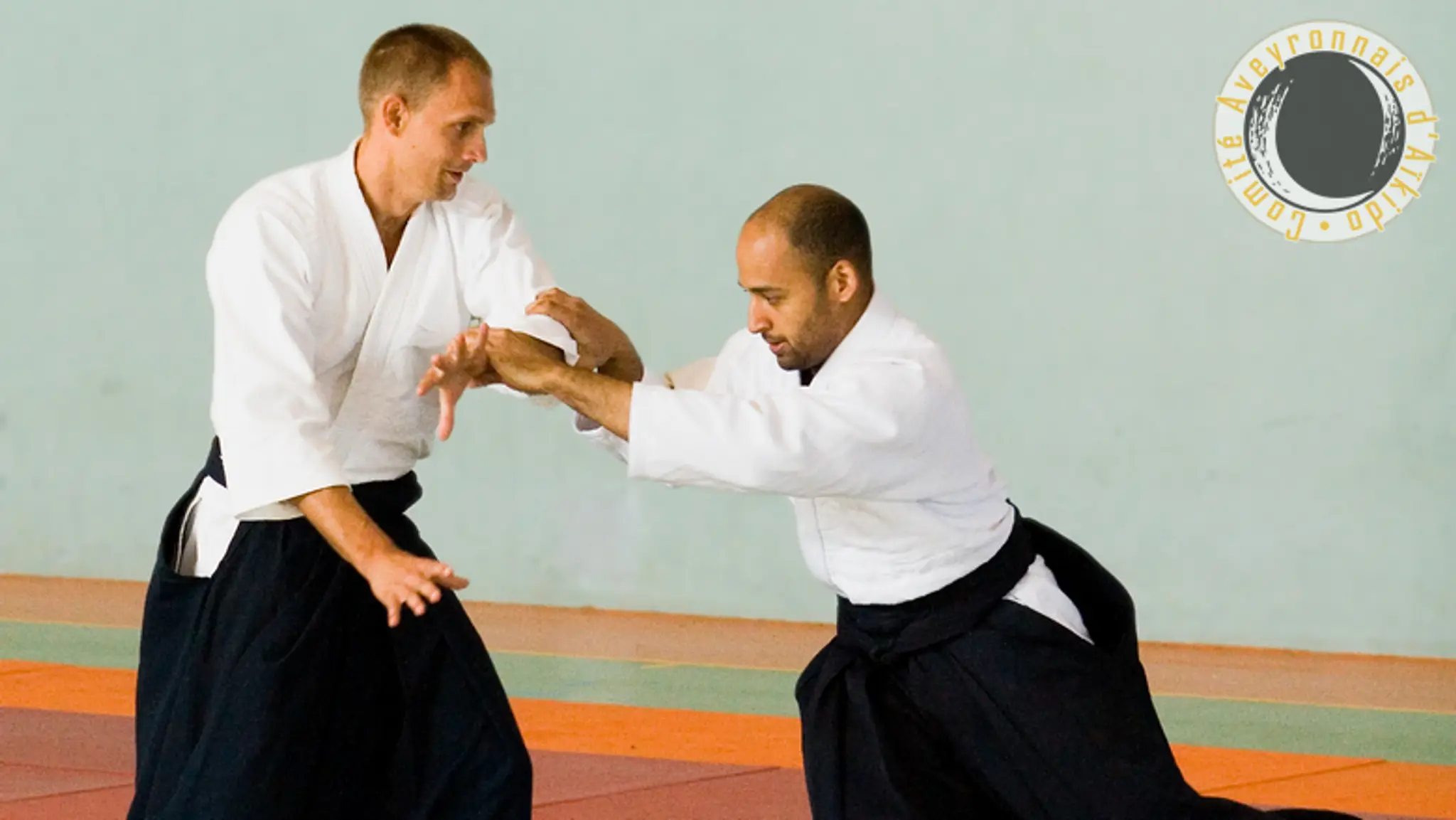 Committee Aveyronnais D'aikido