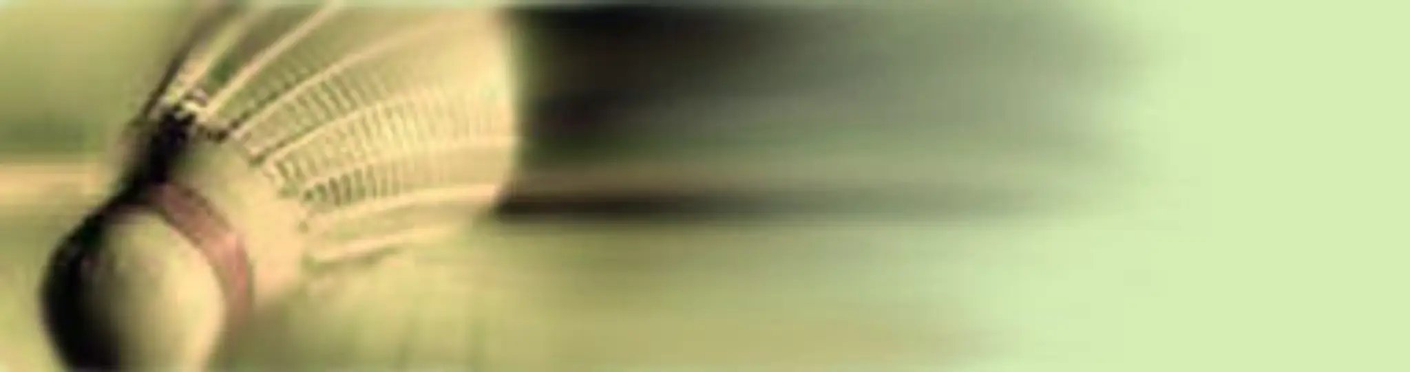 Barrie Badminton Club