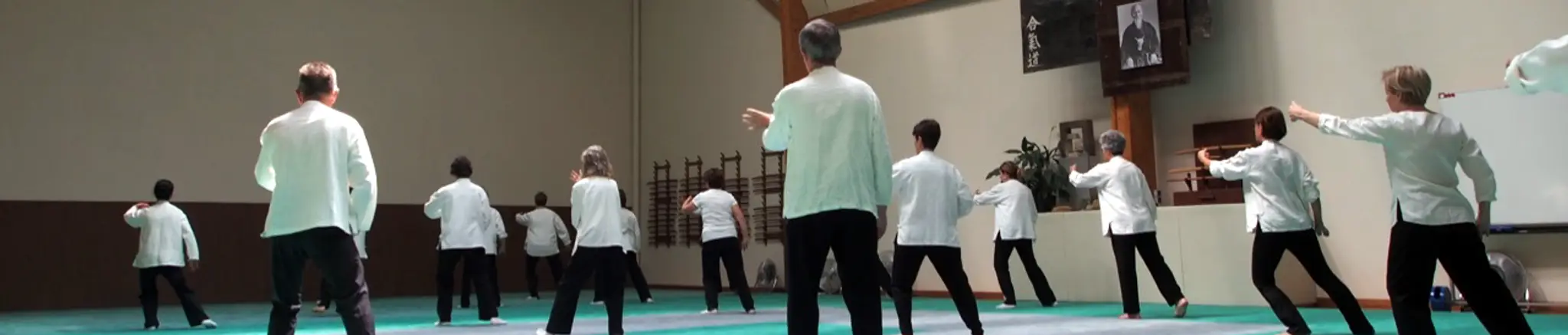 Tai Chi Chuan Lyon 6è