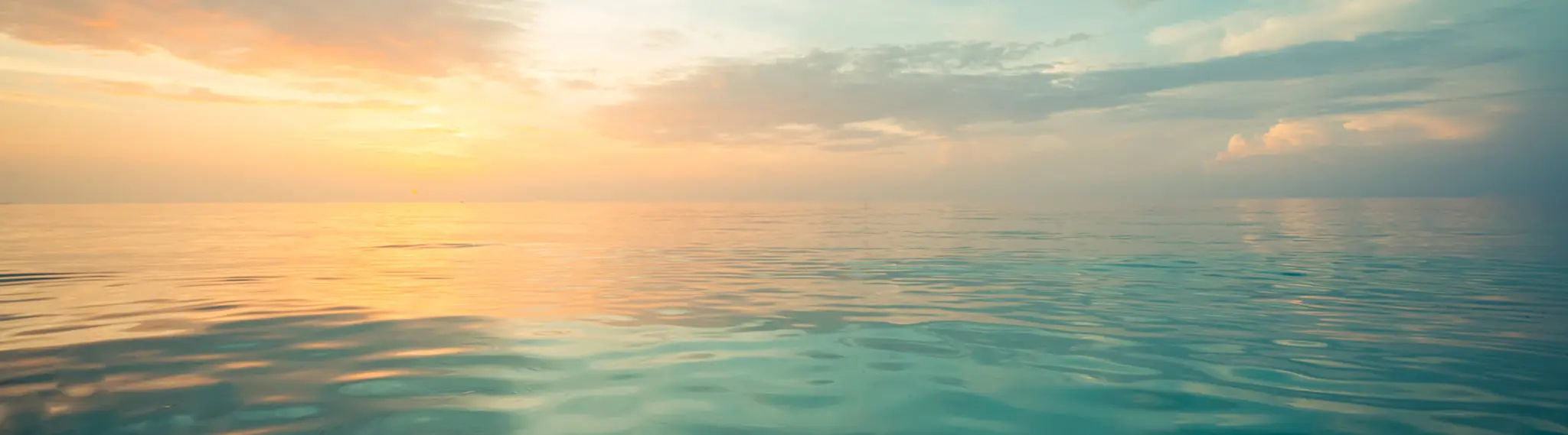 Wellbeing With Heidi