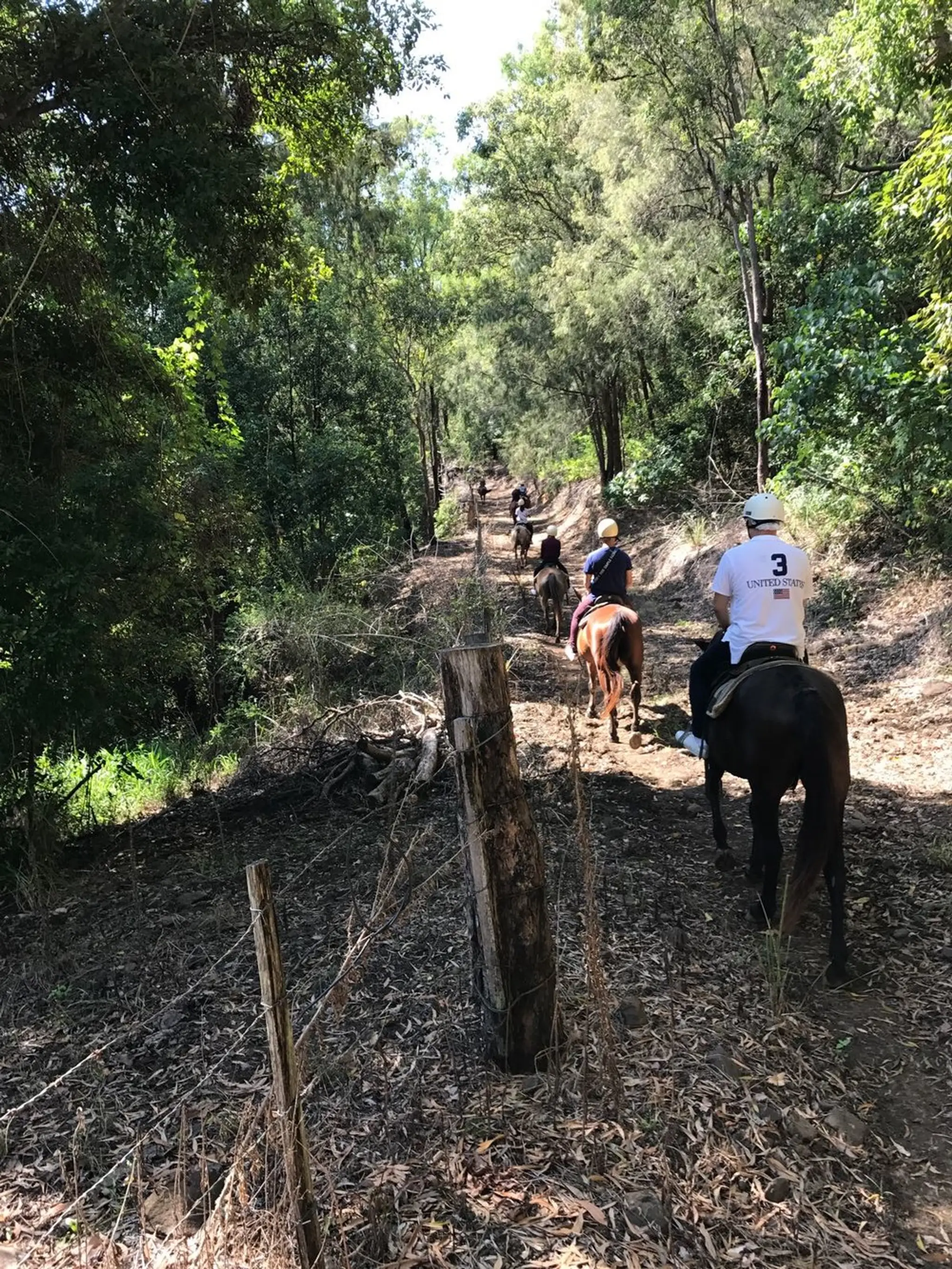 Numinbah Valley Bush Camping